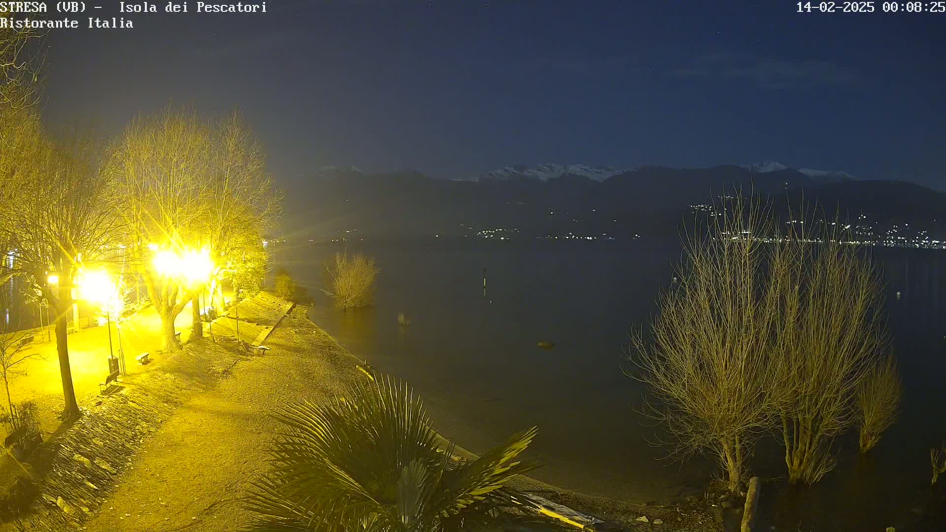 A nighttime lakeside scene shows a dimly lit shoreline with leafless trees and palm trees, illuminated by bright streetlights, overlooking a calm dark lake and snow-capped mountains in the distance under a clear, dark sky.