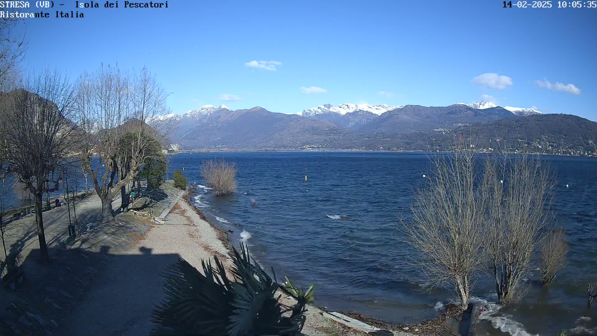A lake with slightly choppy water laps against a shoreline with bare trees and a gravel path under a clear blue sky, snow-capped mountains are visible in the distance.