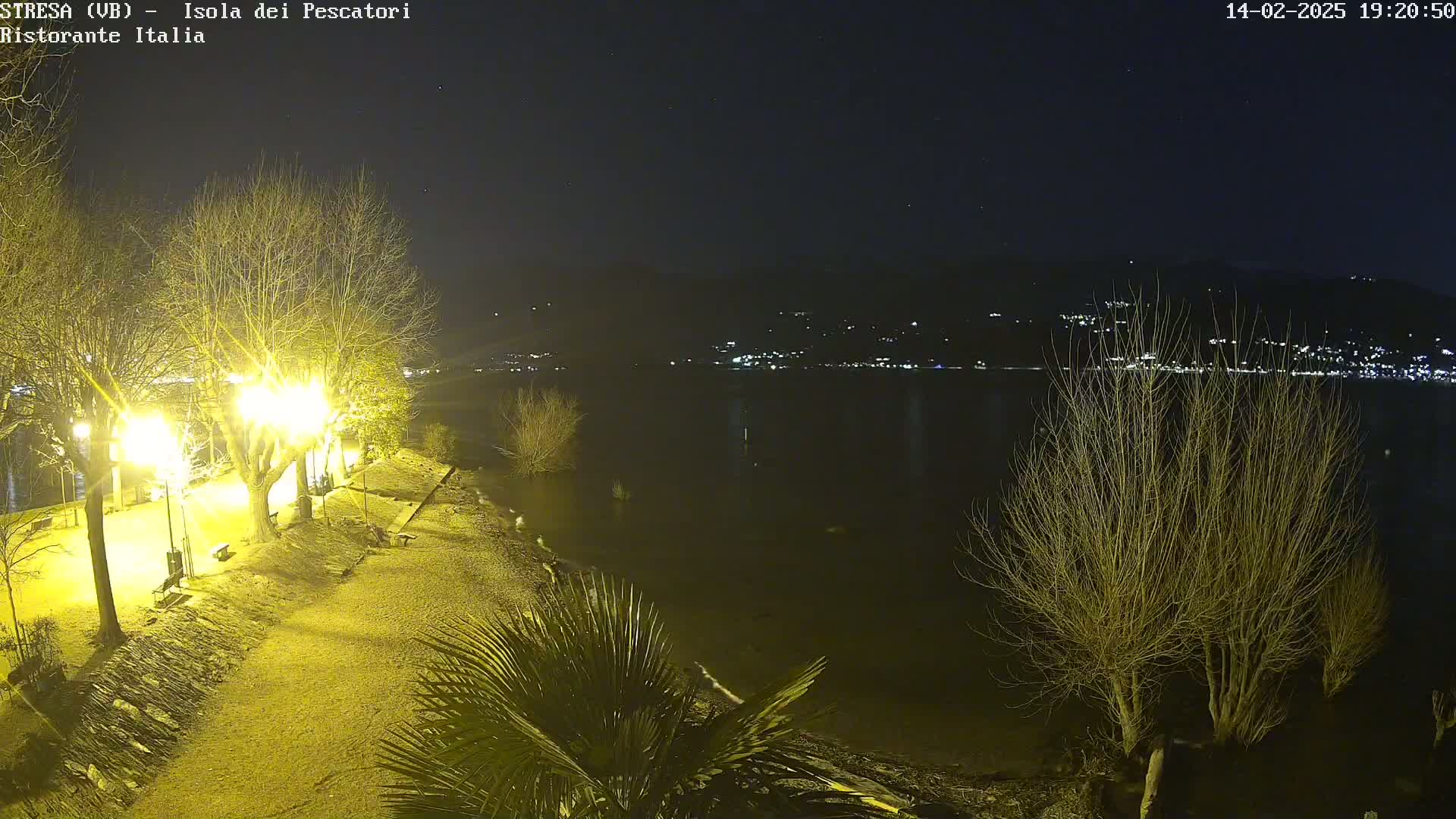 A nighttime view of a waterfront area shows a paved path illuminated by streetlights, bare trees, and palm trees, with a dark body of water and distant lights across it.