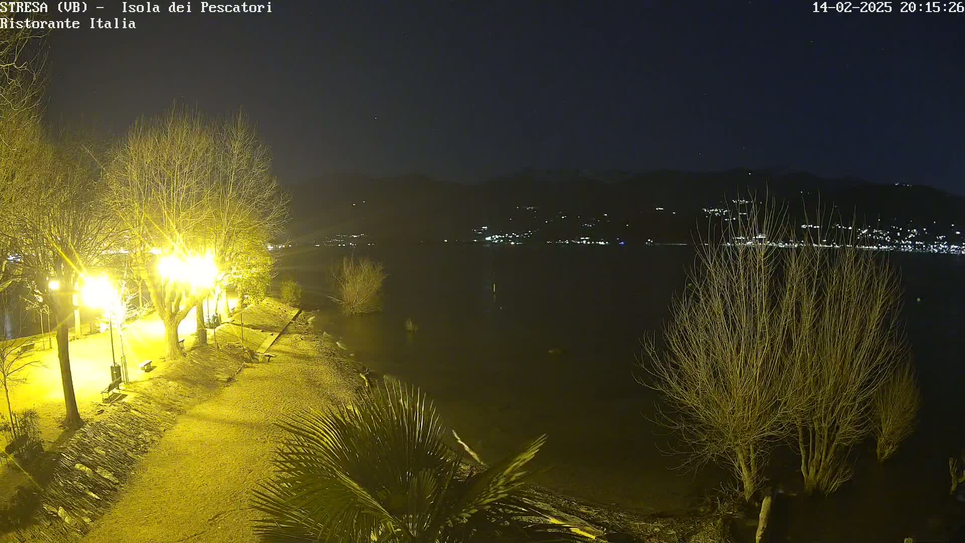 A nighttime view of a lakeshore illuminated by bright lights, with bare trees and some palm trees in the foreground, and a distant town visible across the water.