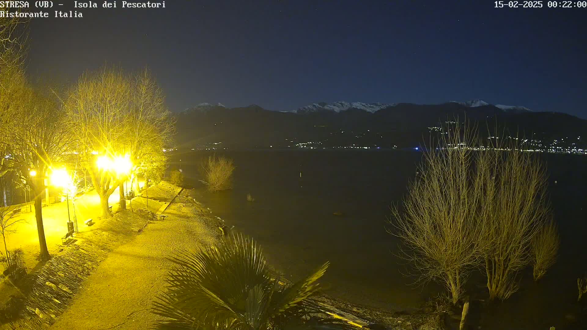 A nighttime view of a lakeshore path illuminated by streetlights, with bare trees and a calm lake in front of snow-capped mountains under a clear, dark sky.