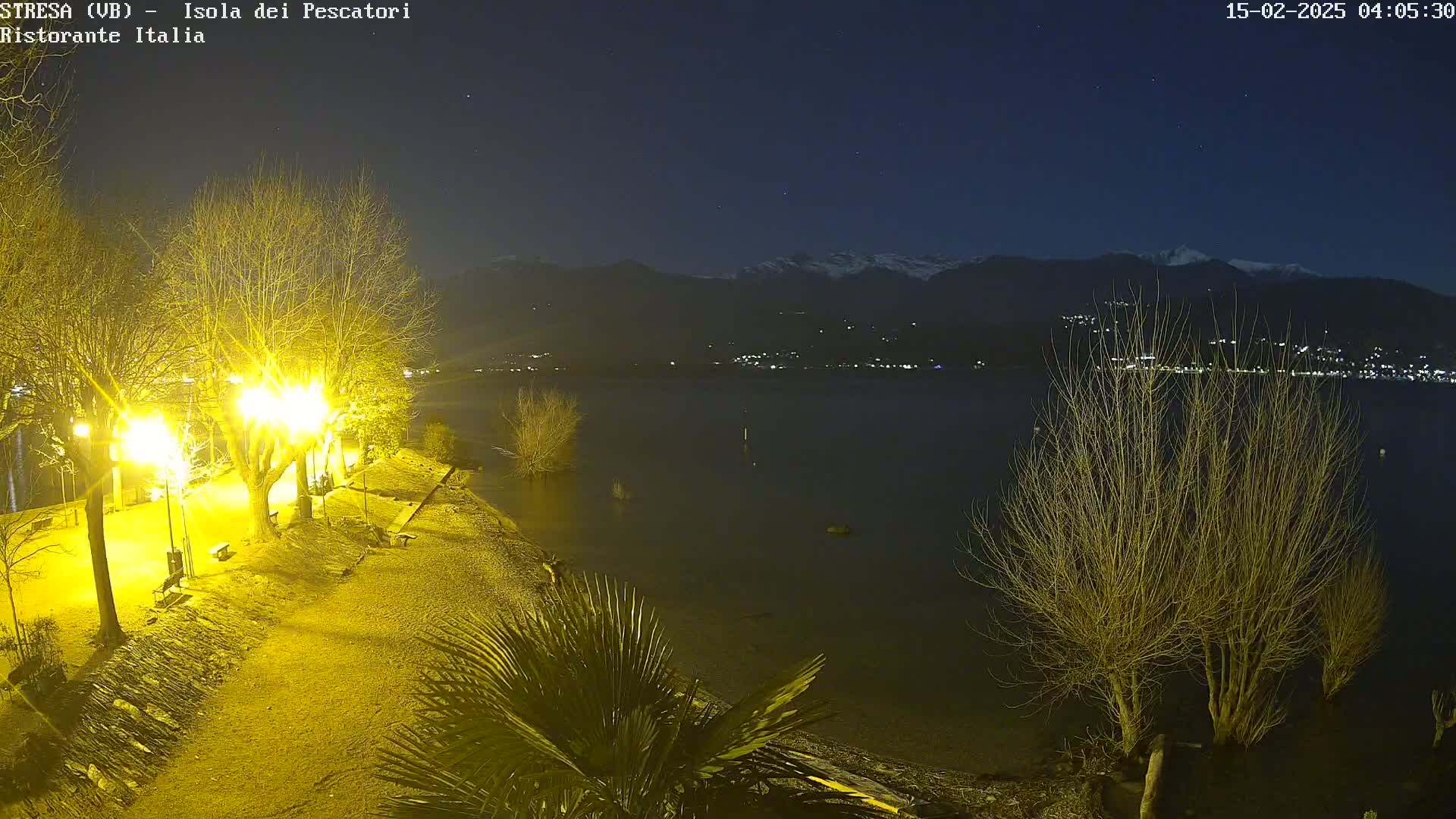 A nighttime view of a lakeshore illuminated by lamplights, with bare trees and a calm lake in the foreground, and snow-capped mountains and distant town lights in the background under a clear, starry sky.
