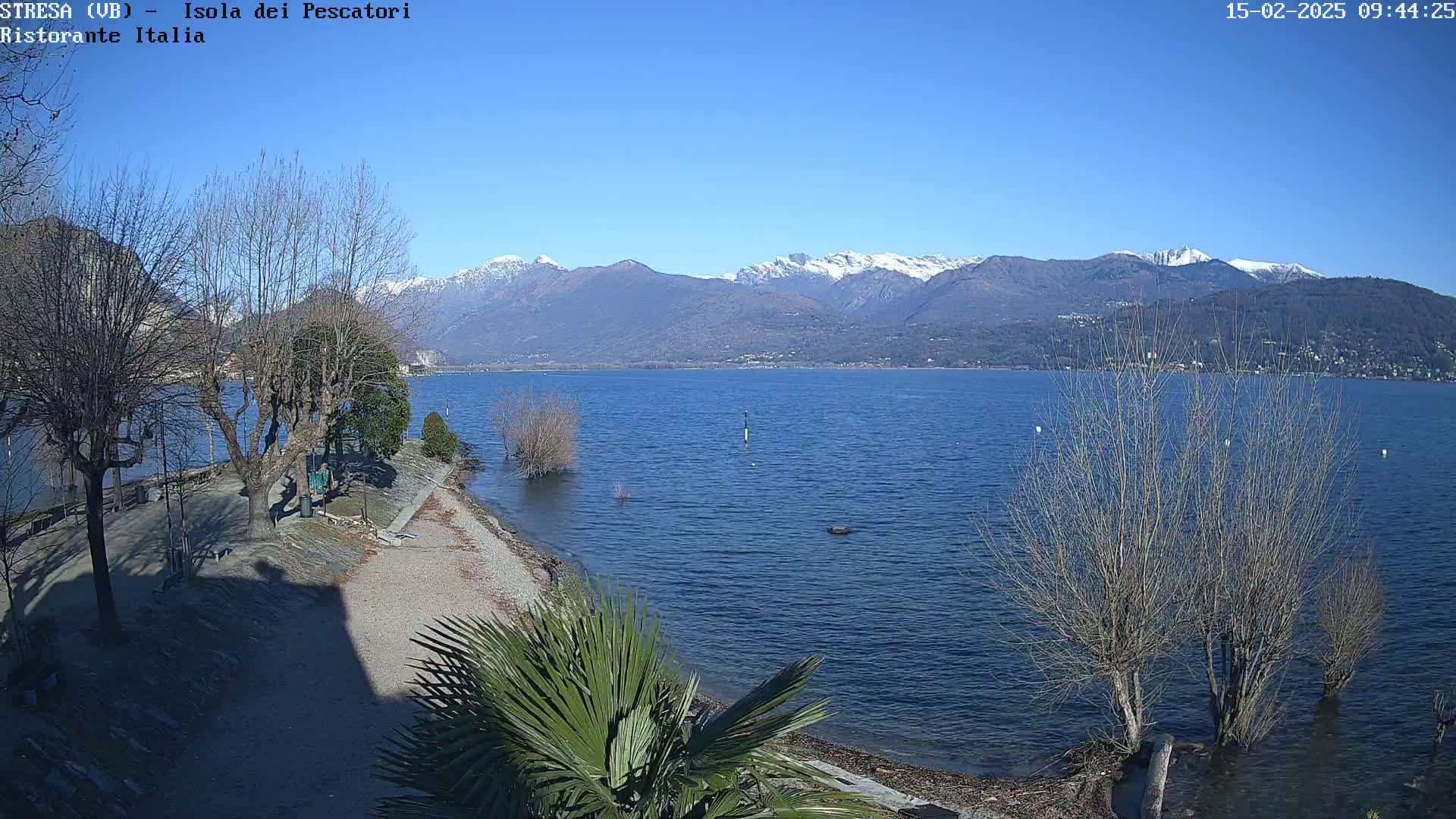 A clear, sunny day reveals a calm lake with snow-capped mountains in the distance, a shoreline with bare trees and a palm tree in the foreground.