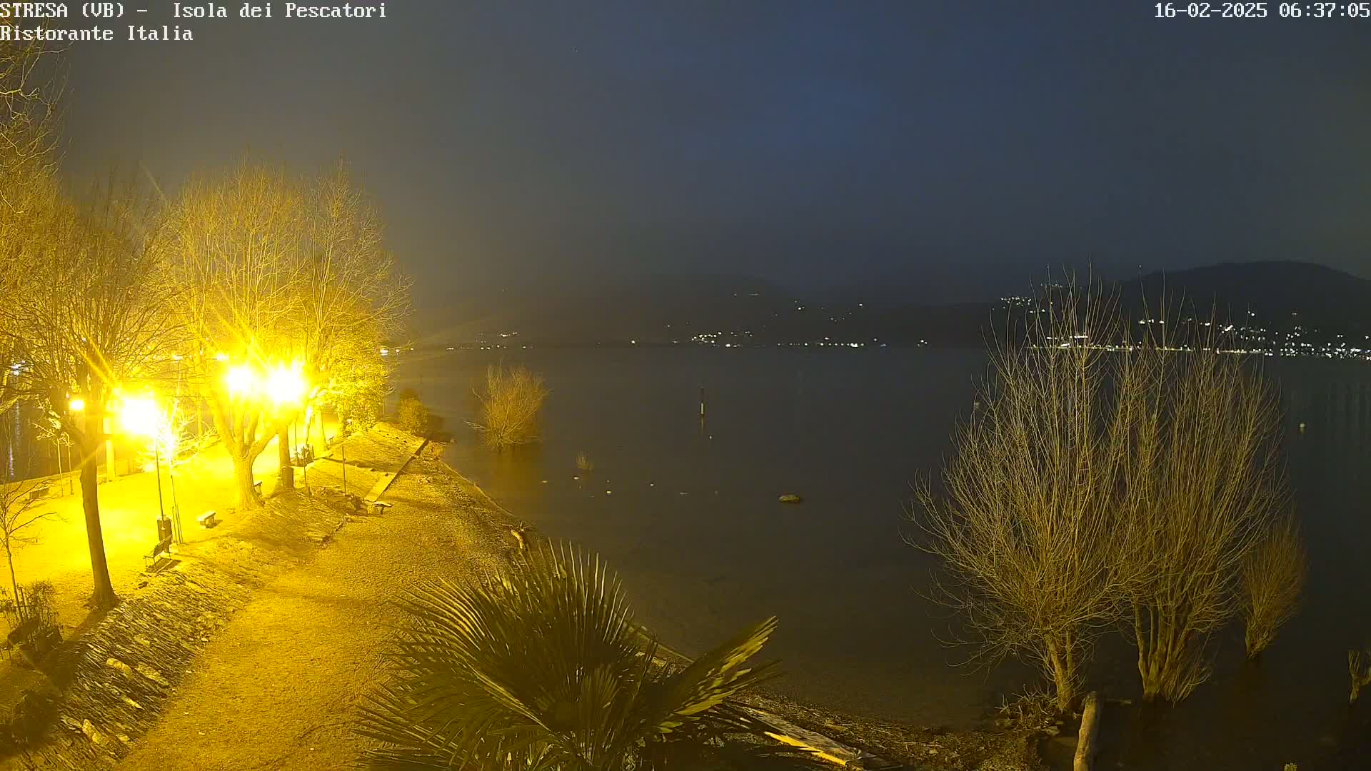A nighttime view of a lakeside area with illuminated trees and pathways, overlooking calm dark water with distant lights across the lake under a dark sky.