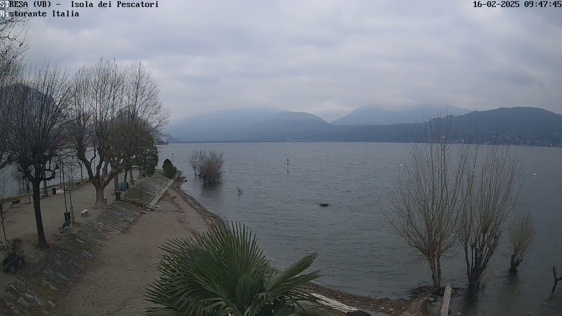 A shoreline with bare trees and a small palm tree overlooks a calm lake under an overcast sky, with mountains visible in the distance.