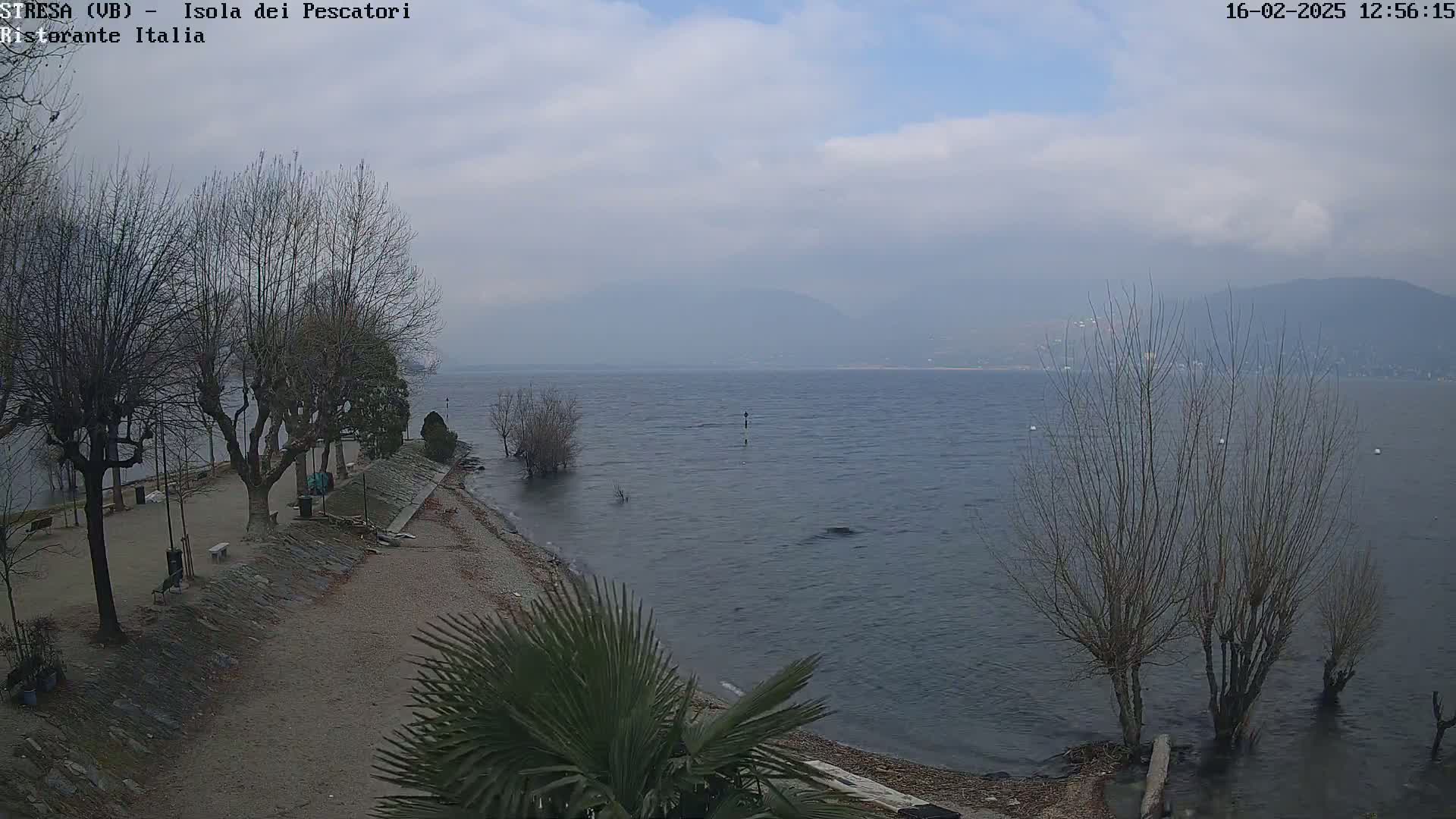 A mostly cloudy day overlooks a calm lake shore with leafless trees and a small palm tree near a pebble beach.