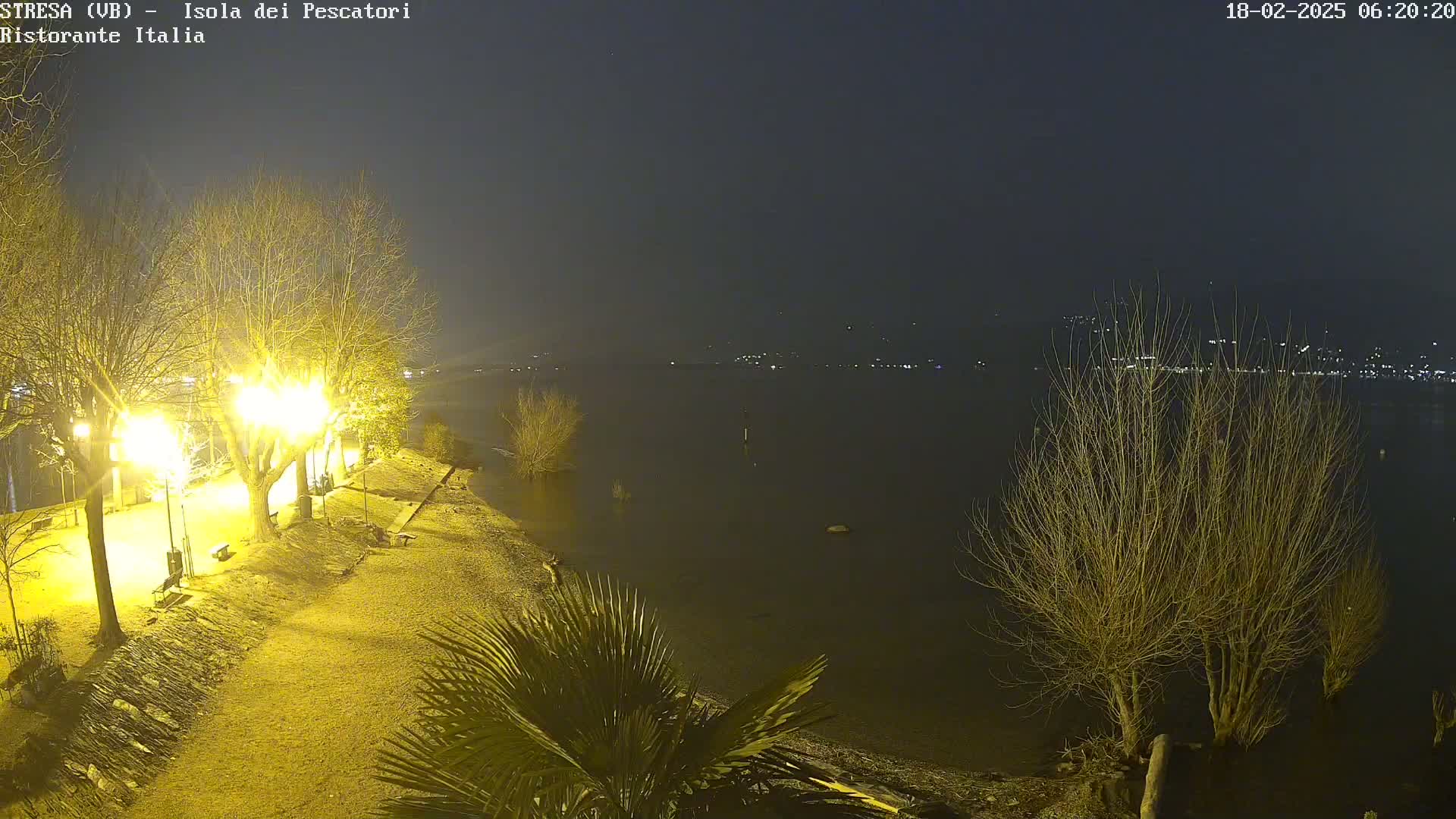 A nighttime view of a dimly lit lakeshore path lined with bare trees and palm trees, overlooking a dark body of water with distant lights across the shore.