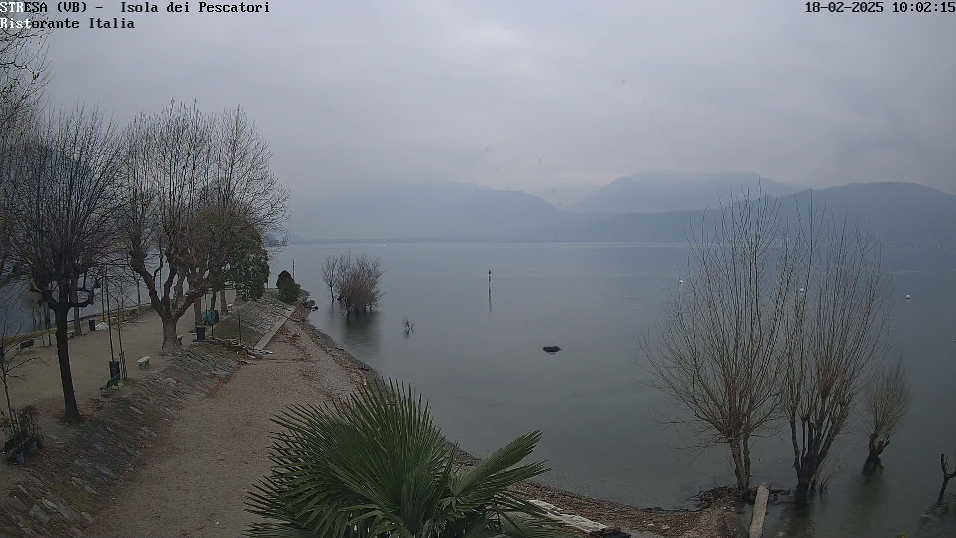 A calm lake with bare trees along a shoreline on an overcast day.