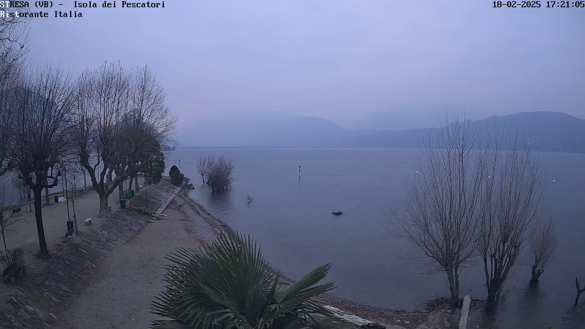 A hazy, overcast view shows a calm lake with bare trees lining a pebbled shoreline, and mountains in the distance.