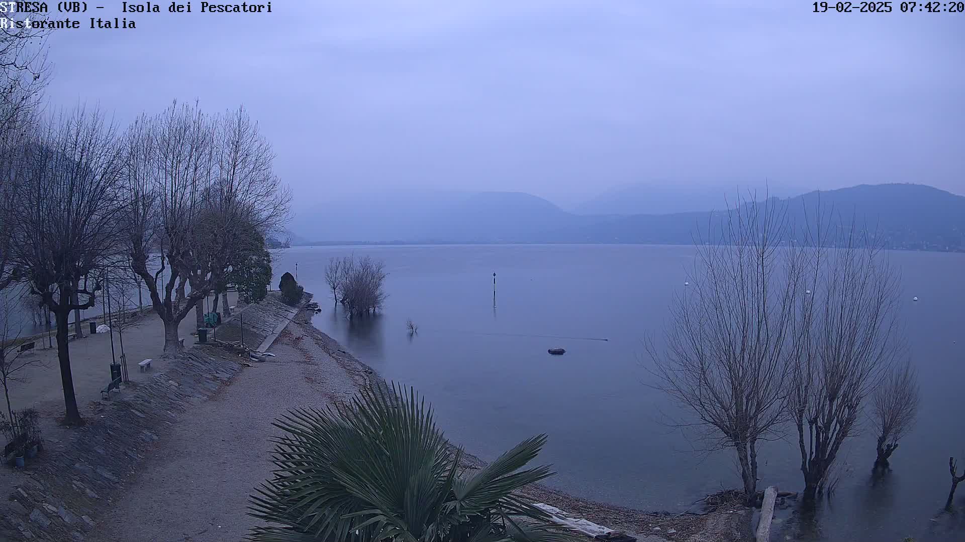 A hazy, calm lake stretches to distant, softly-lit mountains under a pale, overcast sky, with bare trees lining a pebbled shore.