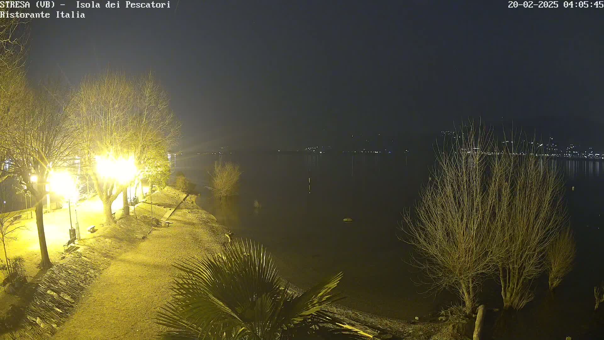 A nighttime view of a lakeshore path lit by lampposts, with bare trees and palm trees near the water's edge, and distant lights across the calm lake.