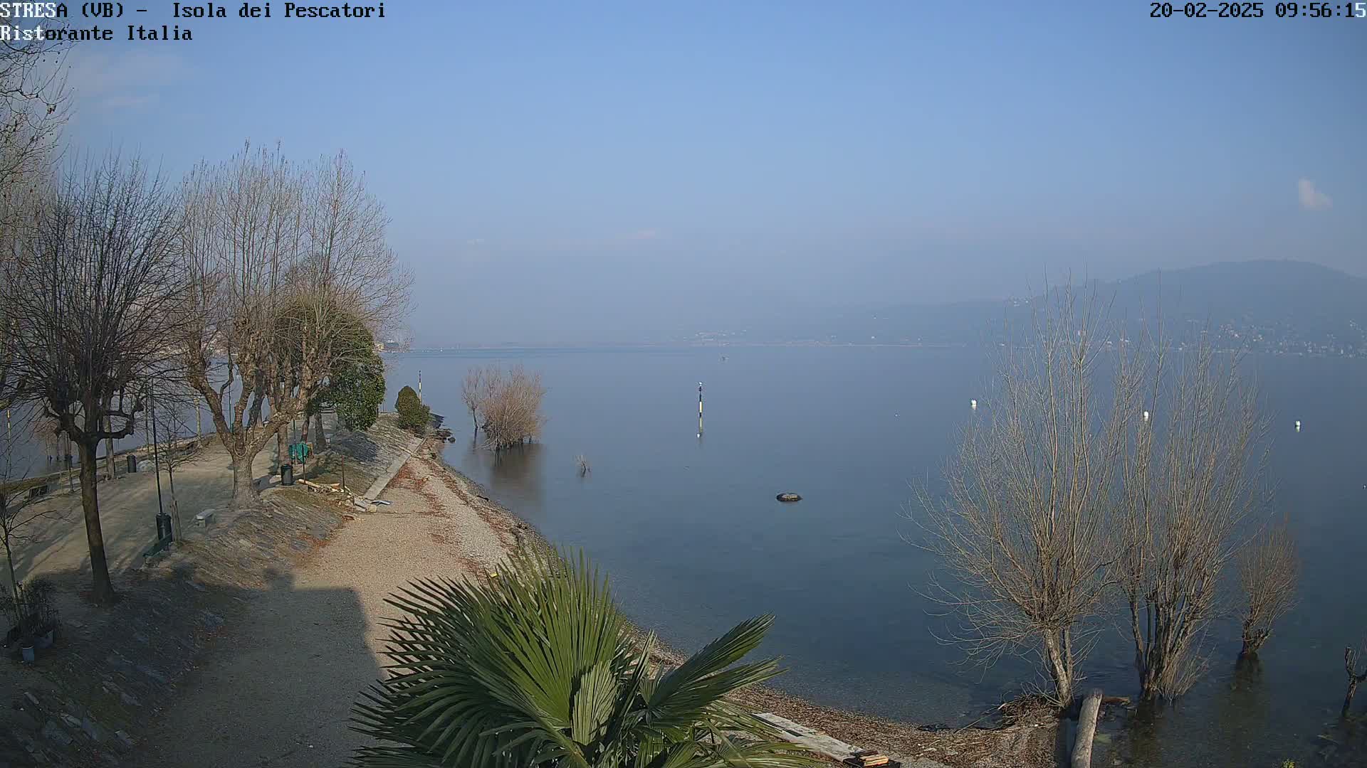 A tranquil lake scene on a hazy, clear day shows a shoreline with bare trees and a small palm tree in the foreground, and distant mountains in the background.