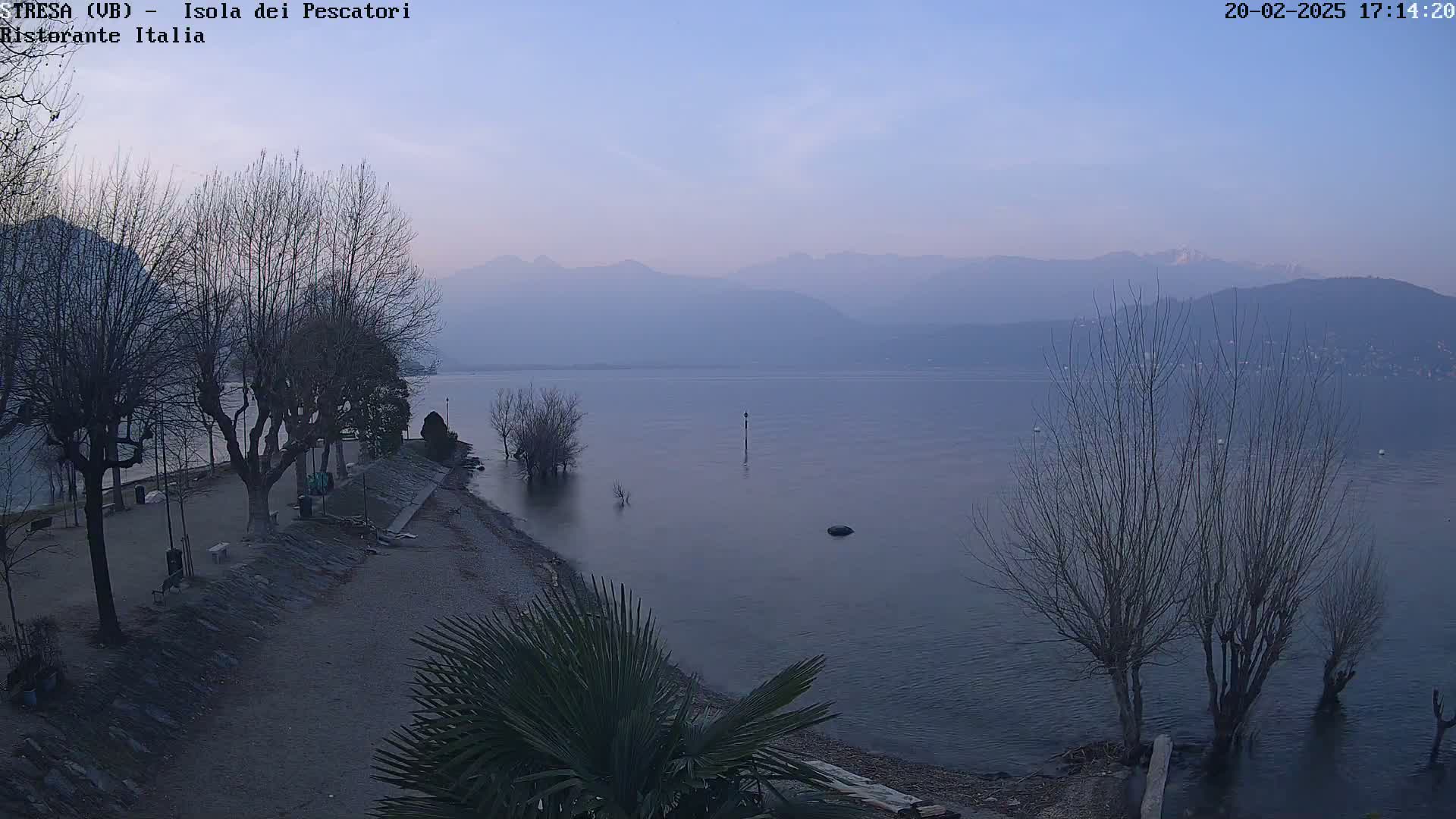 A calm lake with hazy mountains in the background is viewed from a lakeshore with bare trees and a palm tree in the foreground under a twilight sky.