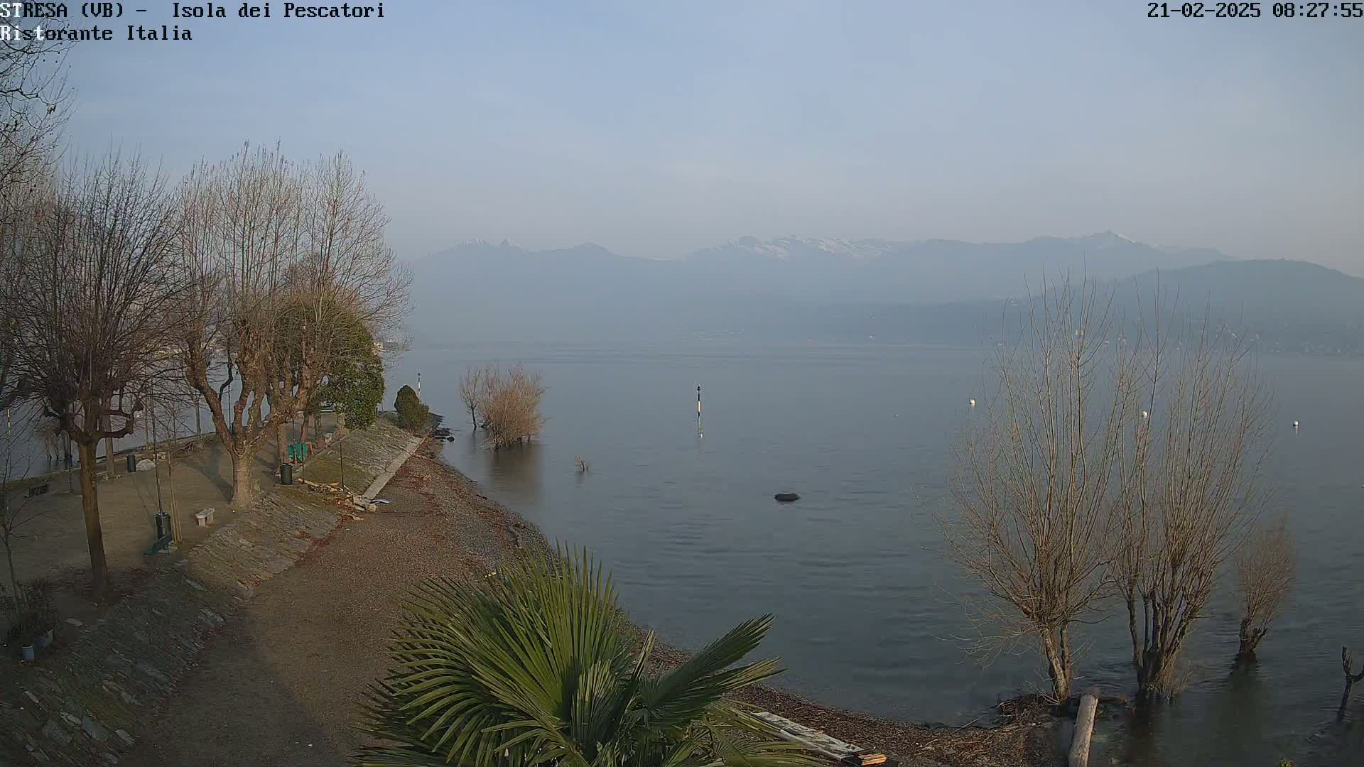 A hazy view of a calm lake with snow-capped mountains in the distance, bare trees lining a shoreline with a pebble beach, and a palm tree in the foreground.