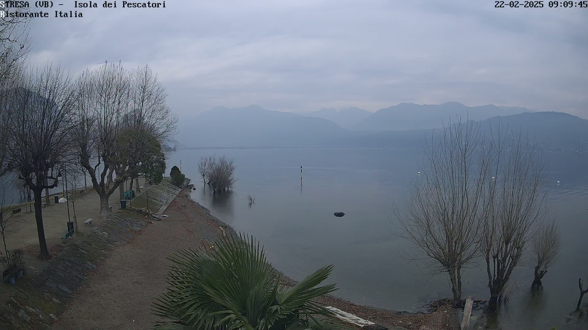 A calm lake with hazy mountains in the background, bare trees lining a pebble shore, and a palm tree in the foreground under an overcast sky.