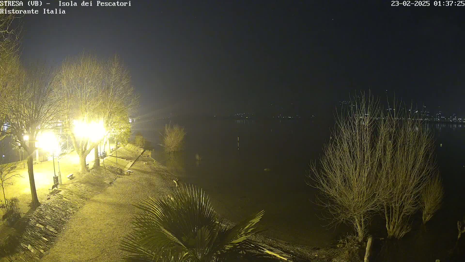A nighttime view of a waterfront park with bare trees illuminated by lampposts, overlooking a calm body of water with distant lights on the opposite shore.