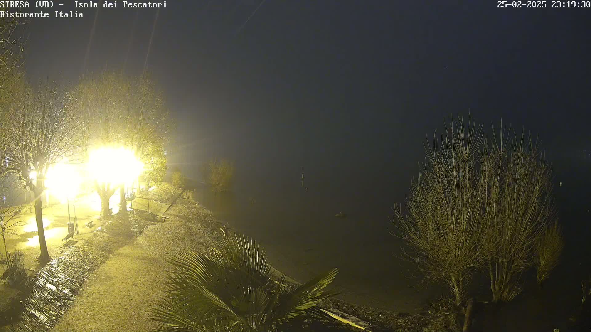A brightly lit lakeside area at night is shrouded in fog, with bare trees and a few palm trees visible along the shore.