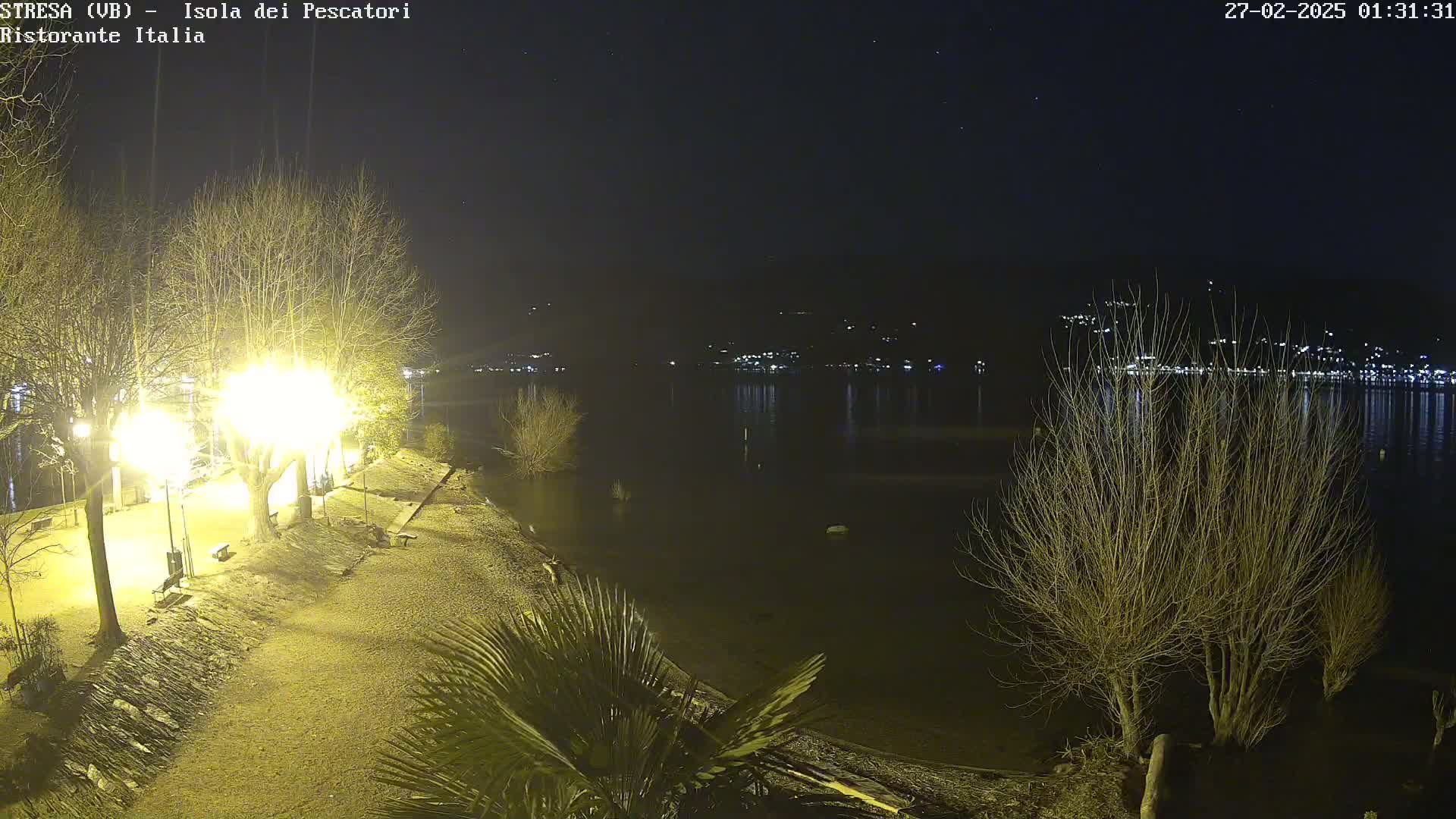 A nighttime view of a lakeshore, illuminated by bright lights, showing bare trees, some low vegetation, and a calm body of water with distant lights across the lake.