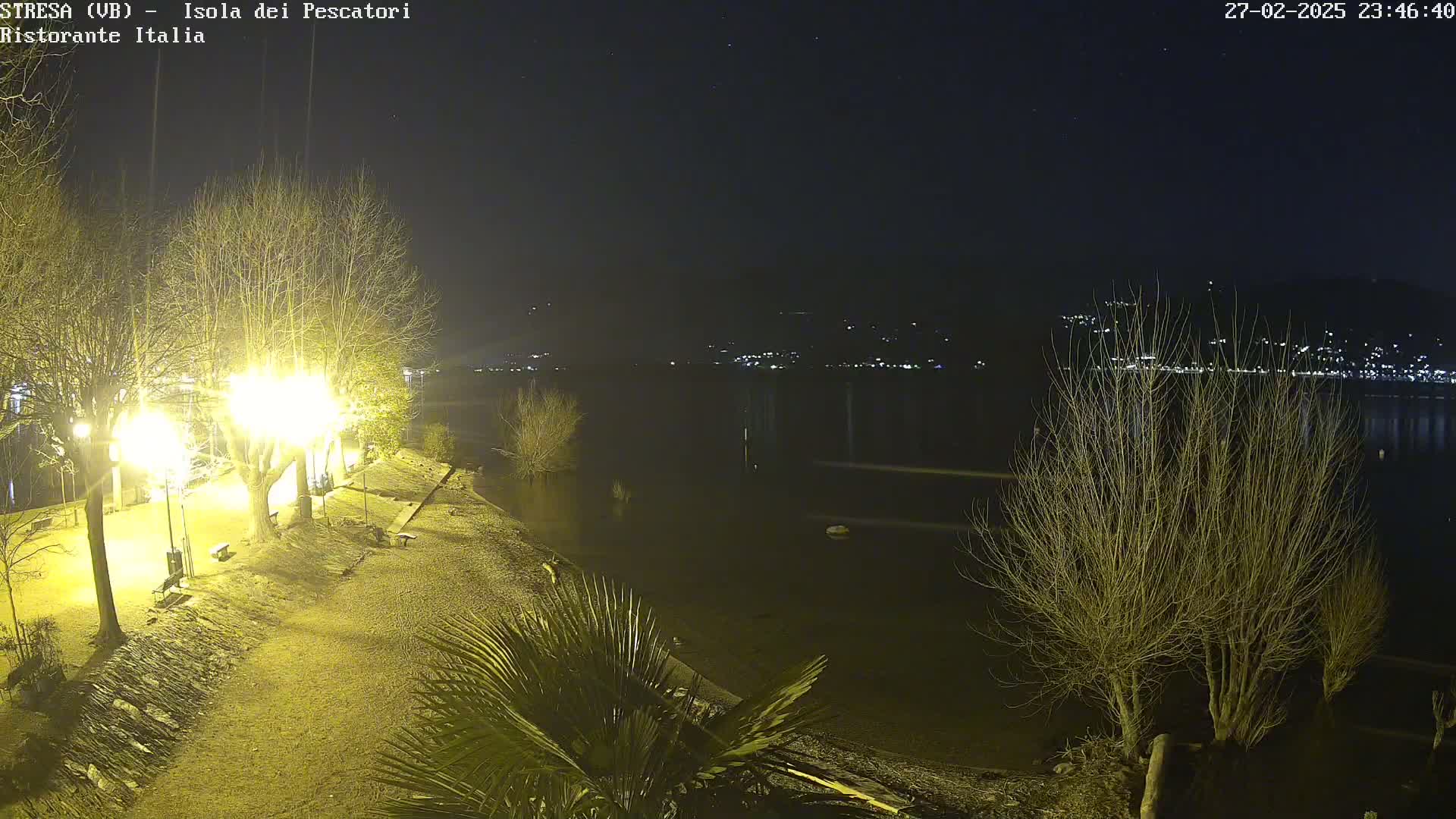 A nighttime view of a lakeshore, illuminated by streetlights, with bare trees and palm trees along a gravel path overlooking calm water and distant city lights under a clear, starry sky.