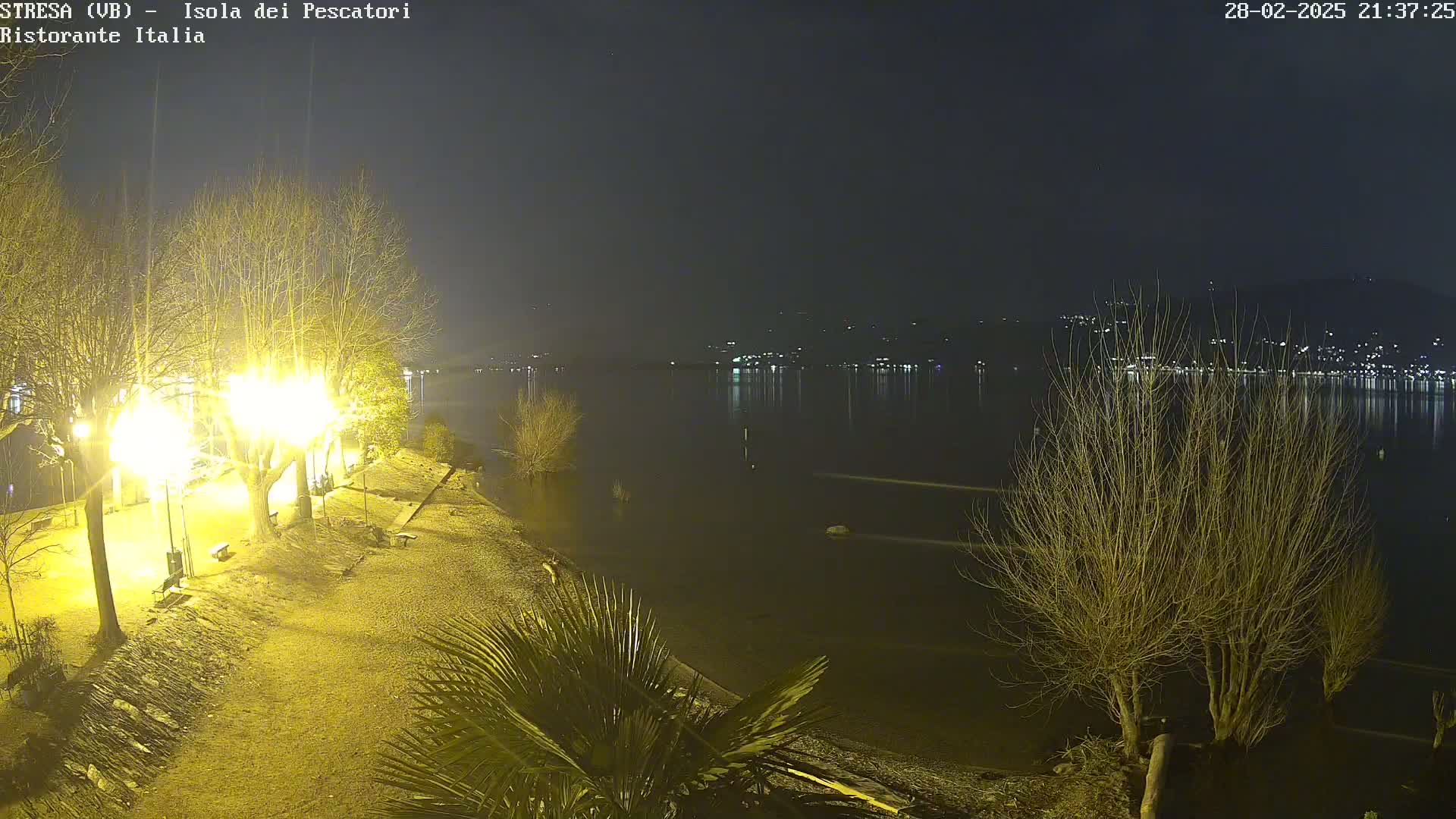 A nighttime view of a lakeside area with brightly lit trees and bare, winter shrubs, overlooking calm water reflecting distant lights across a dark shoreline.