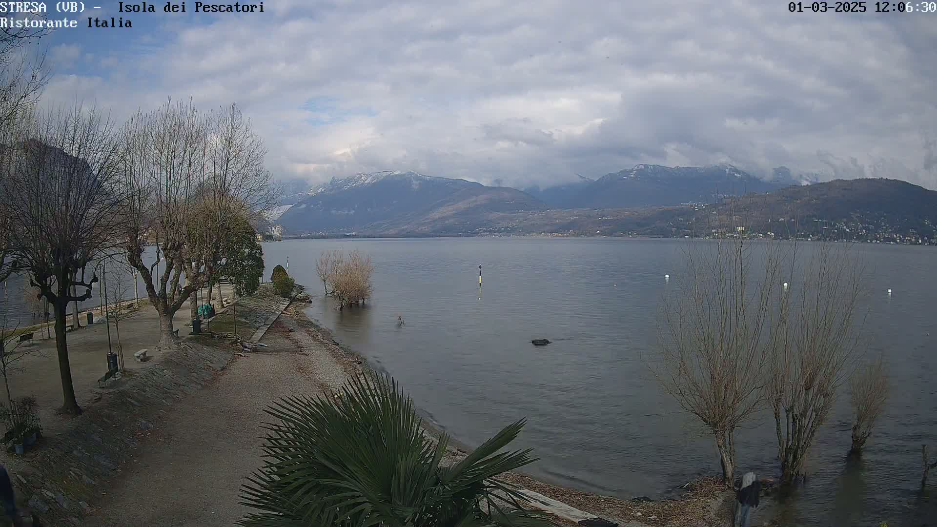 A lakeside park with leafless trees and a partially visible palm tree, overlooking a calm lake and snow-capped mountains under a cloudy sky.