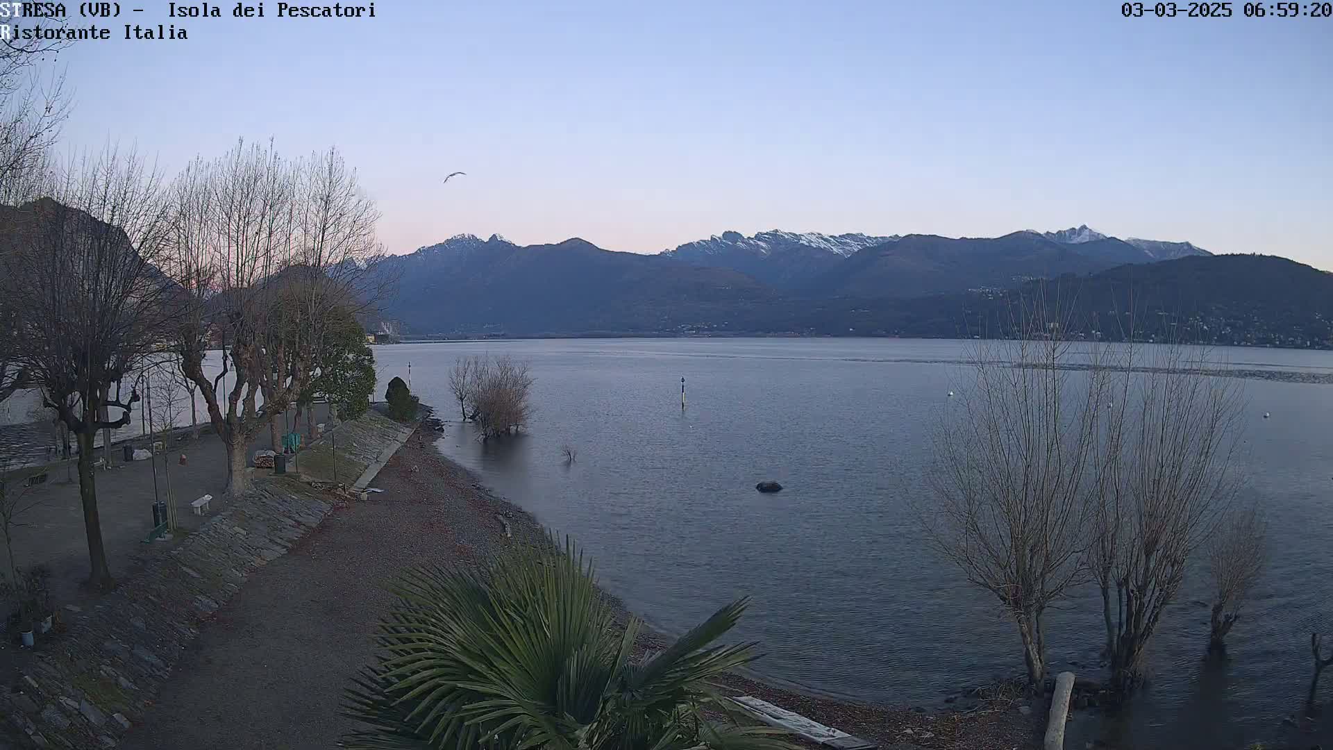 A calm lake with snow-capped mountains in the background under a twilight sky, with bare trees lining a shoreline and a small palm tree in the foreground.