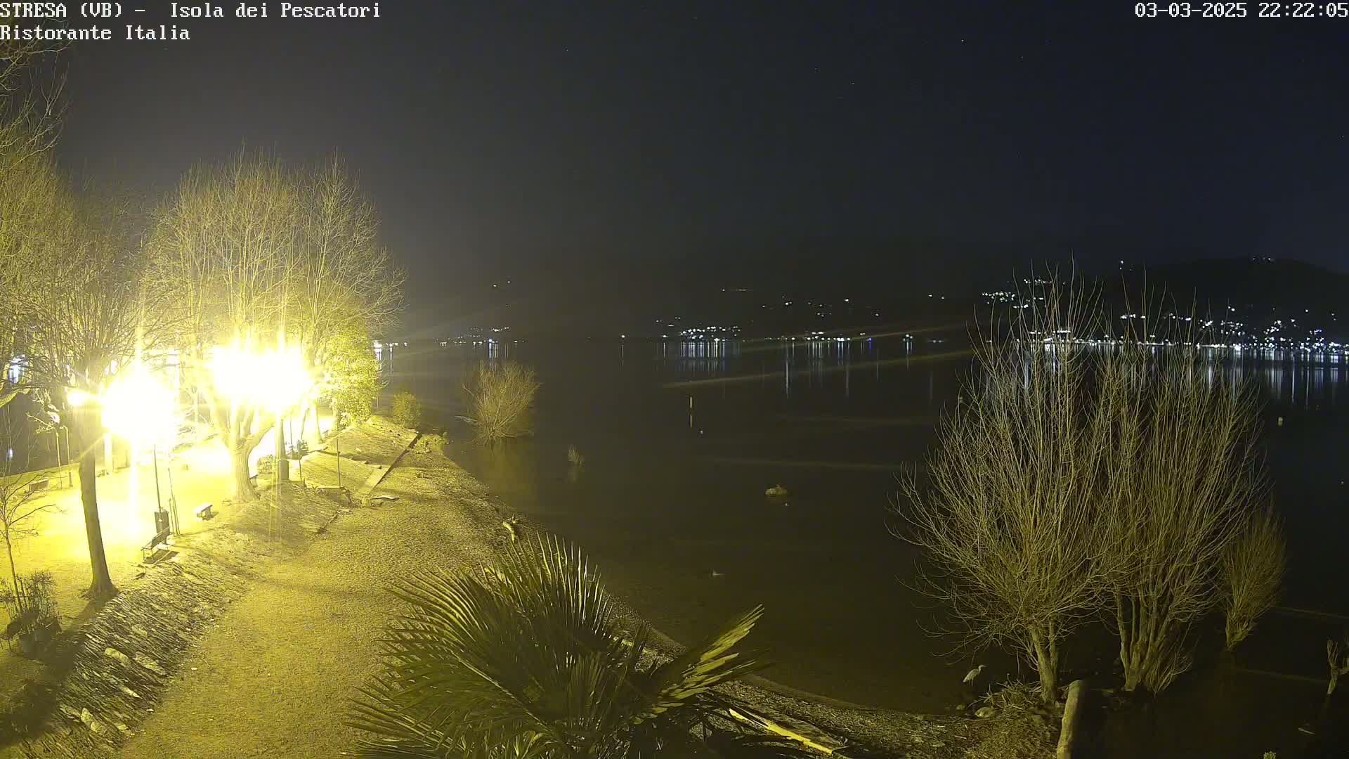A nighttime view of a lakeshore illuminated by bright lights, showing bare trees and a calm body of water reflecting distant lights across from a shoreline with sparse vegetation.