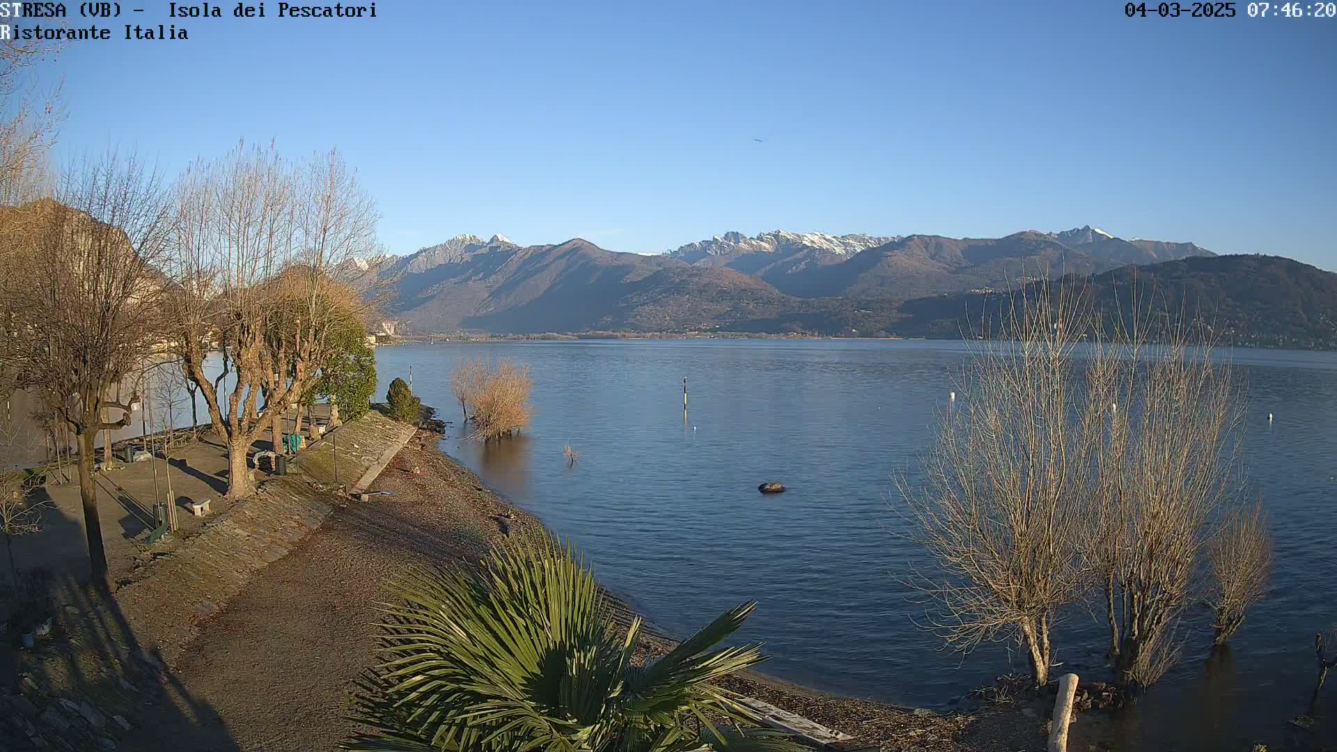 A calm lake stretches out before snow-capped mountains under a clear blue sky, with bare trees lining a shoreline and a palm tree in the foreground.