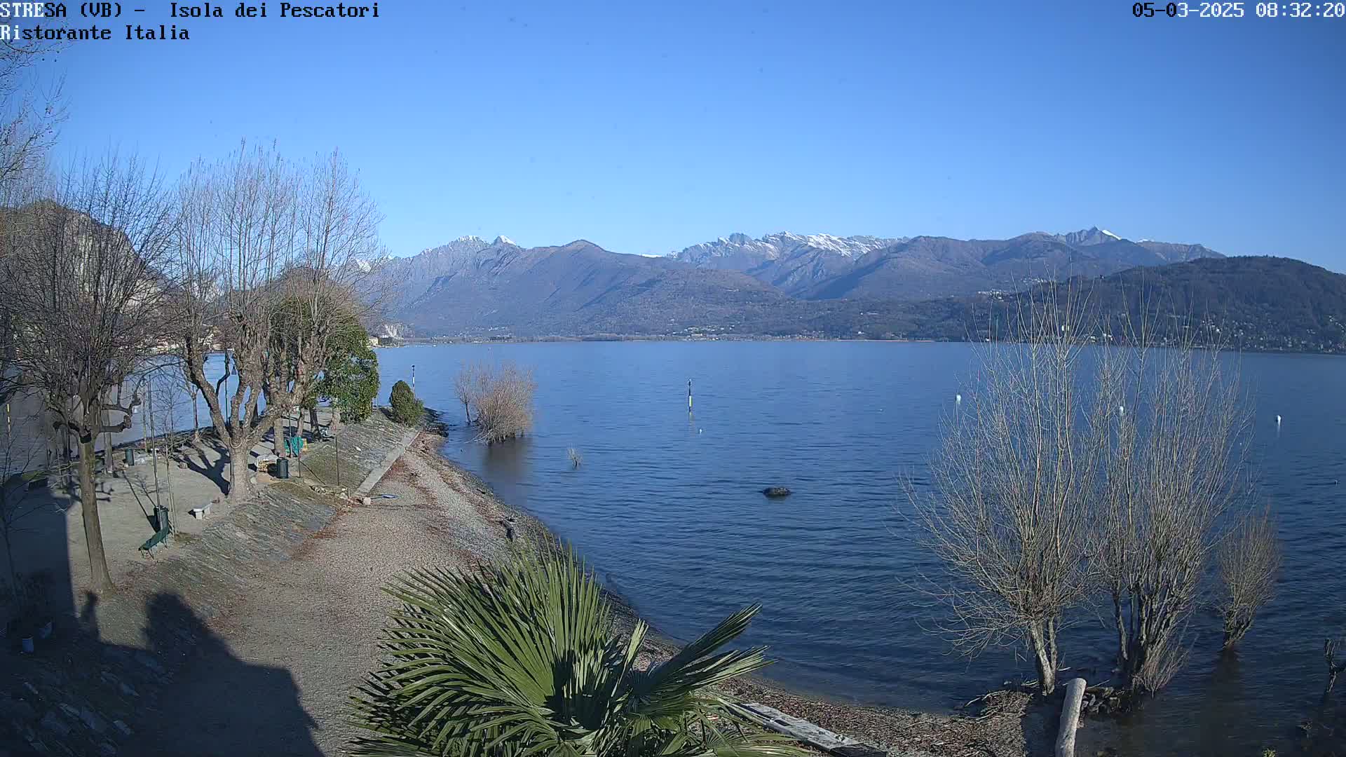 A calm lake with a sandy shore lined with bare trees and a palm tree, backed by snow-capped mountains under a clear blue sky.