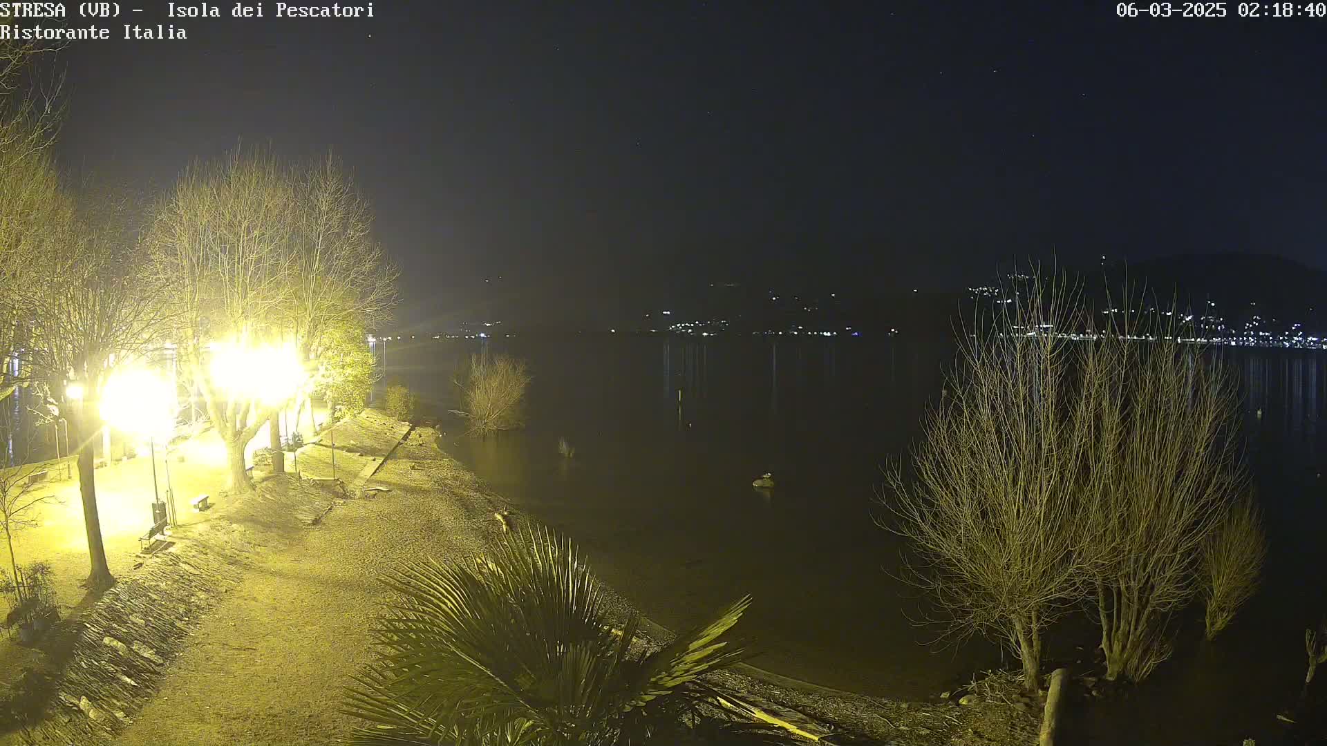 A nighttime lakeside scene shows bare trees illuminated by bright lights near a pebble shore, with a calm body of water reflecting distant lights across a dark, clear sky.