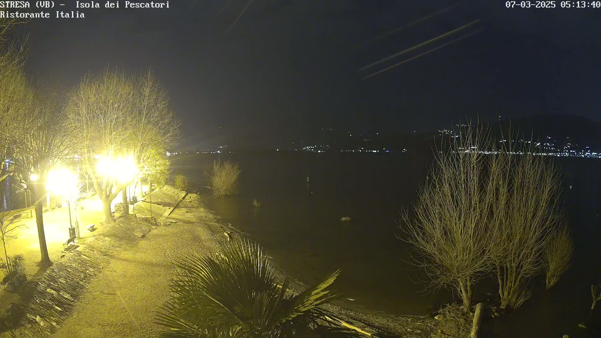 A nighttime view of a lakeshore with bare trees, illuminated walkways, and a distant, city-lit shoreline.