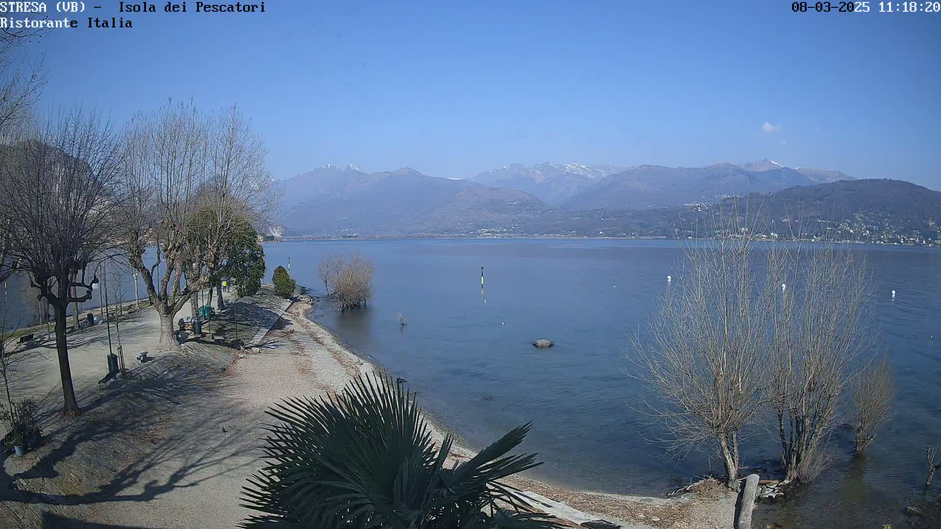 A calm lake with snow-capped mountains in the background, under a clear blue sky, is viewed from a lakeside park with bare trees and a small palm tree.