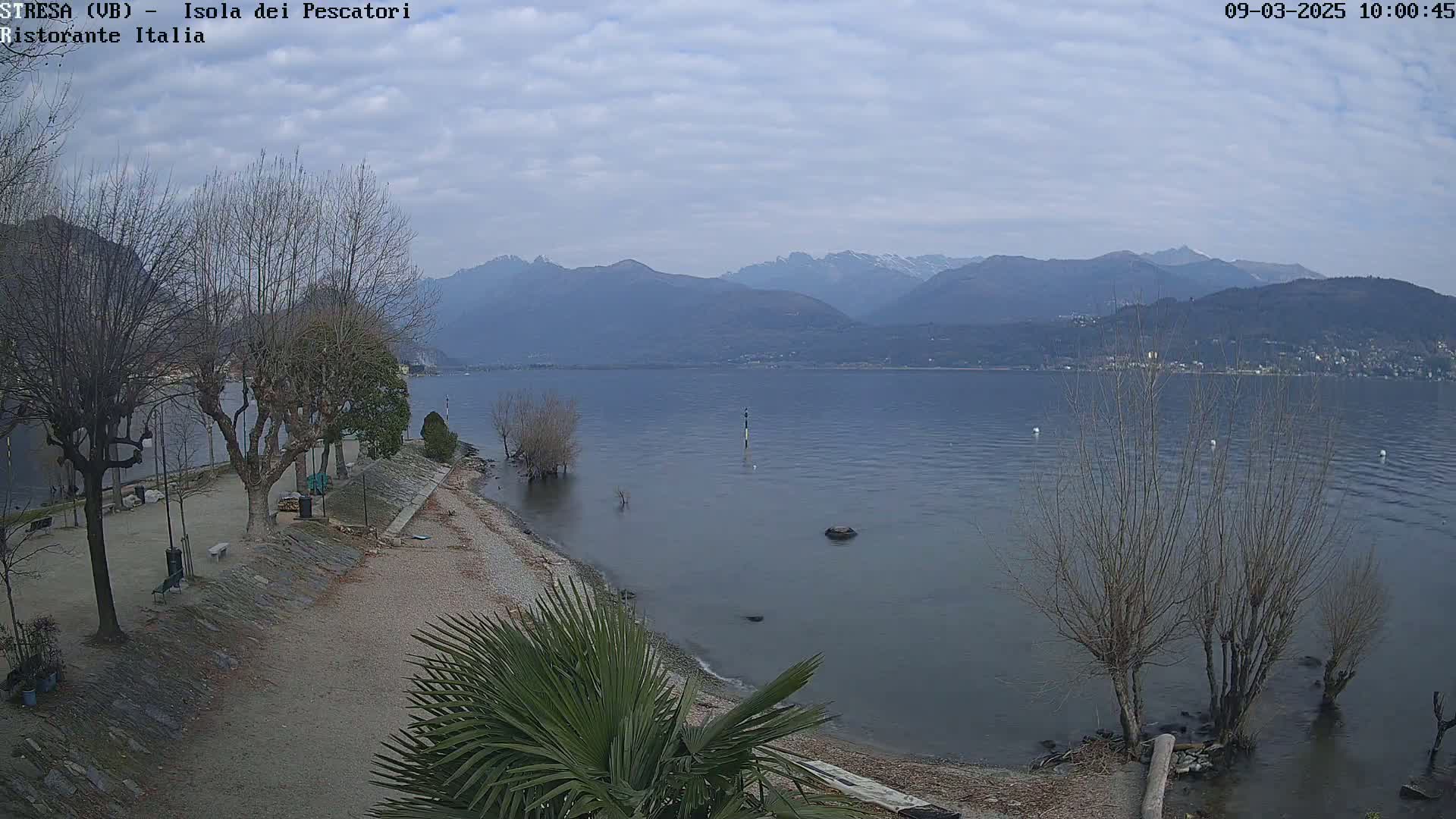 A calm lake, under a cloudy sky, stretches toward distant mountains, with a shoreline featuring bare trees, a pebble beach, and a lone palm tree in the foreground.