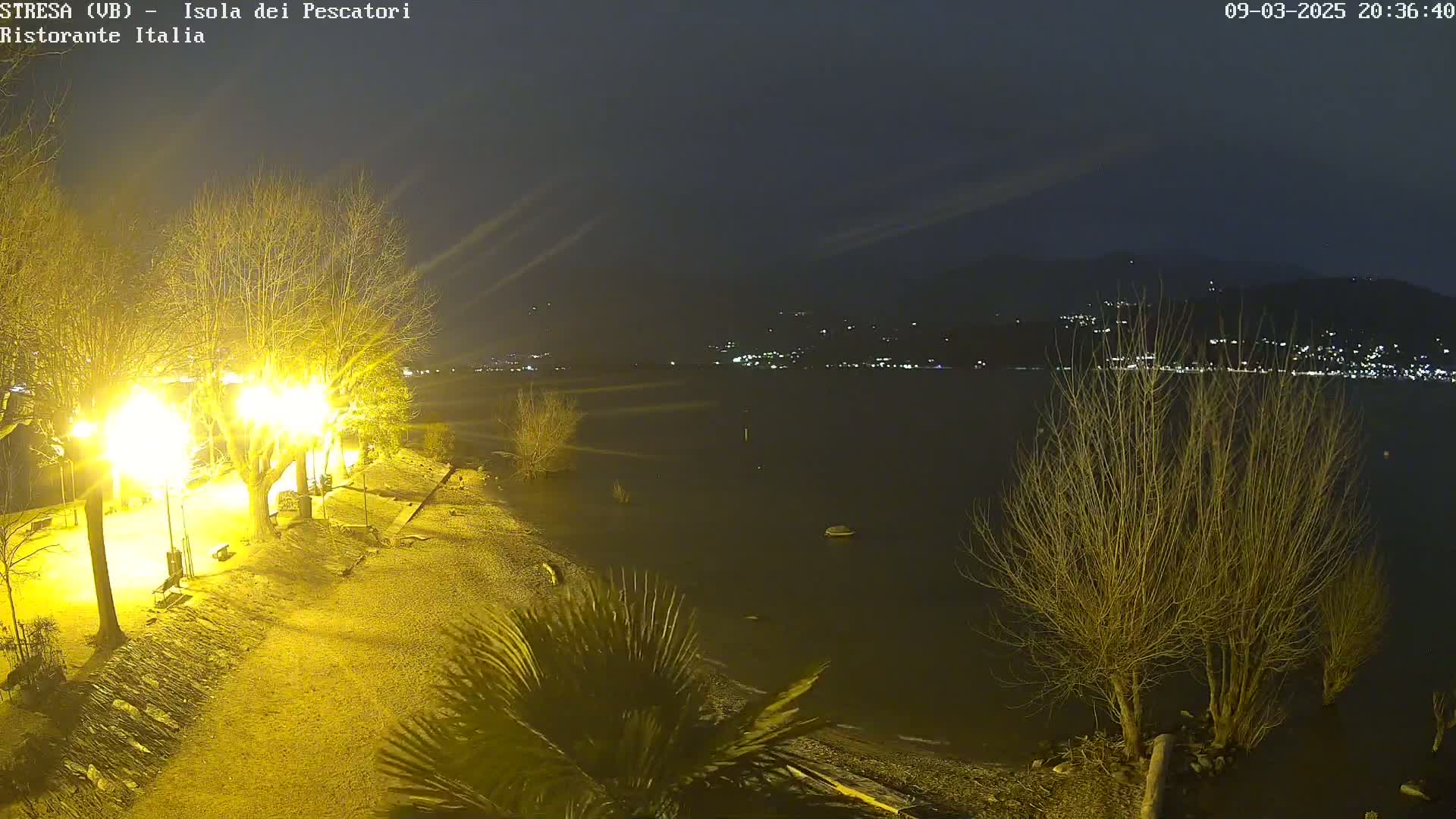 A nighttime view of a lakeshore, illuminated by streetlights, shows bare trees, some palm trees, and a calm body of water with distant lights across the lake.