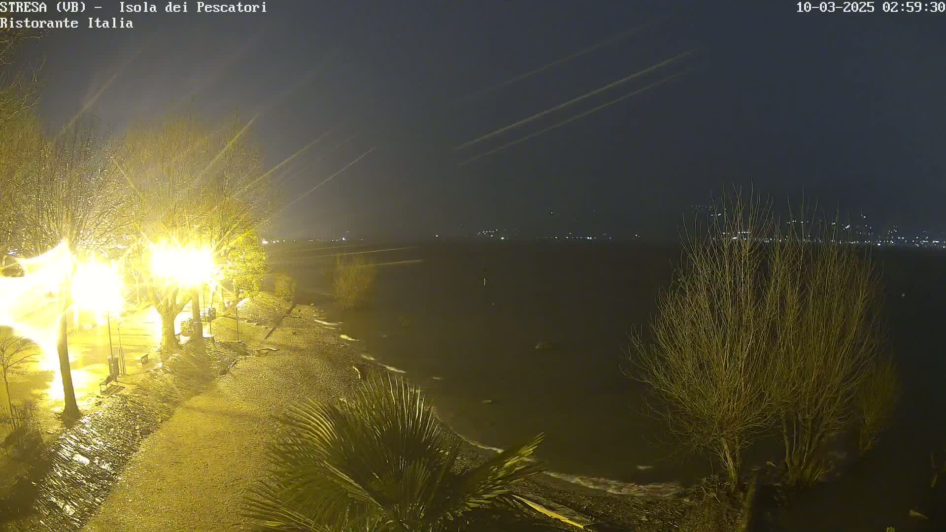 A nighttime view of a rain-swept shoreline with illuminated trees and a dark body of water showing faint wave action in the distance.