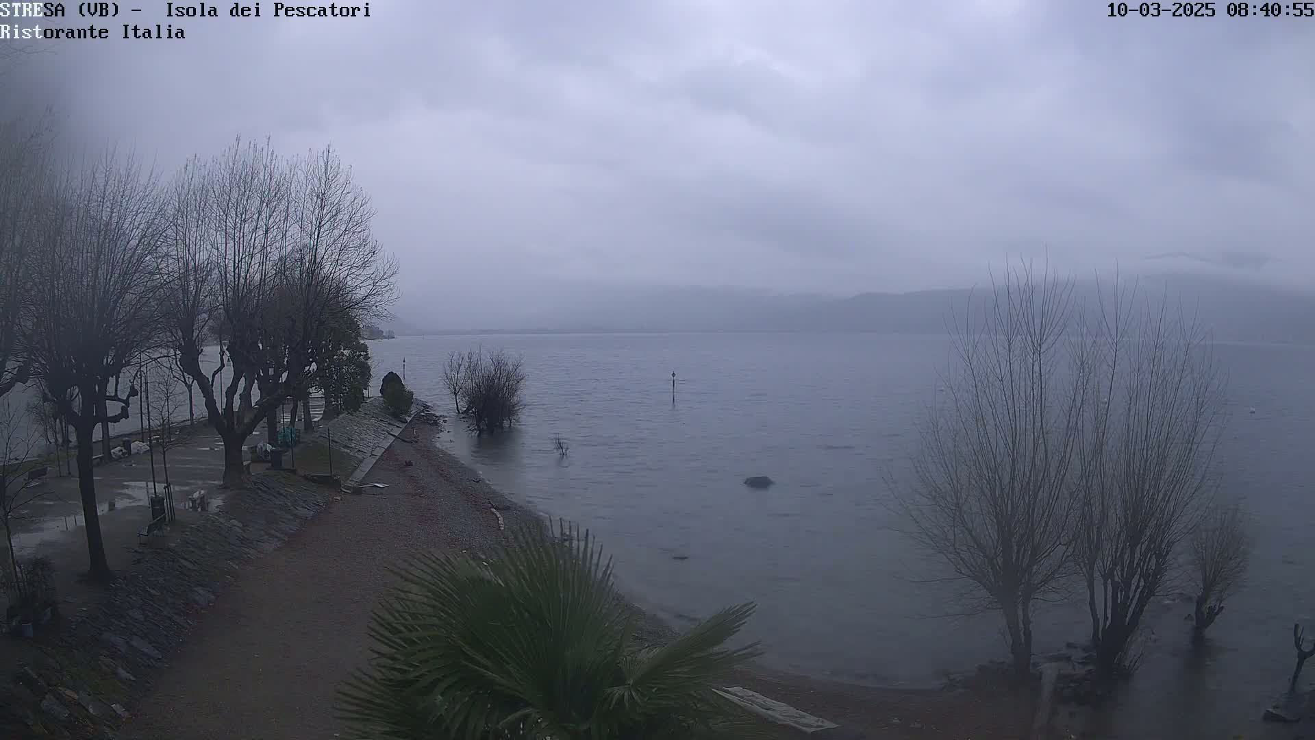 A gray, overcast day shows a shoreline with bare trees and a calm lake extending to distant mountains under a cloudy sky.