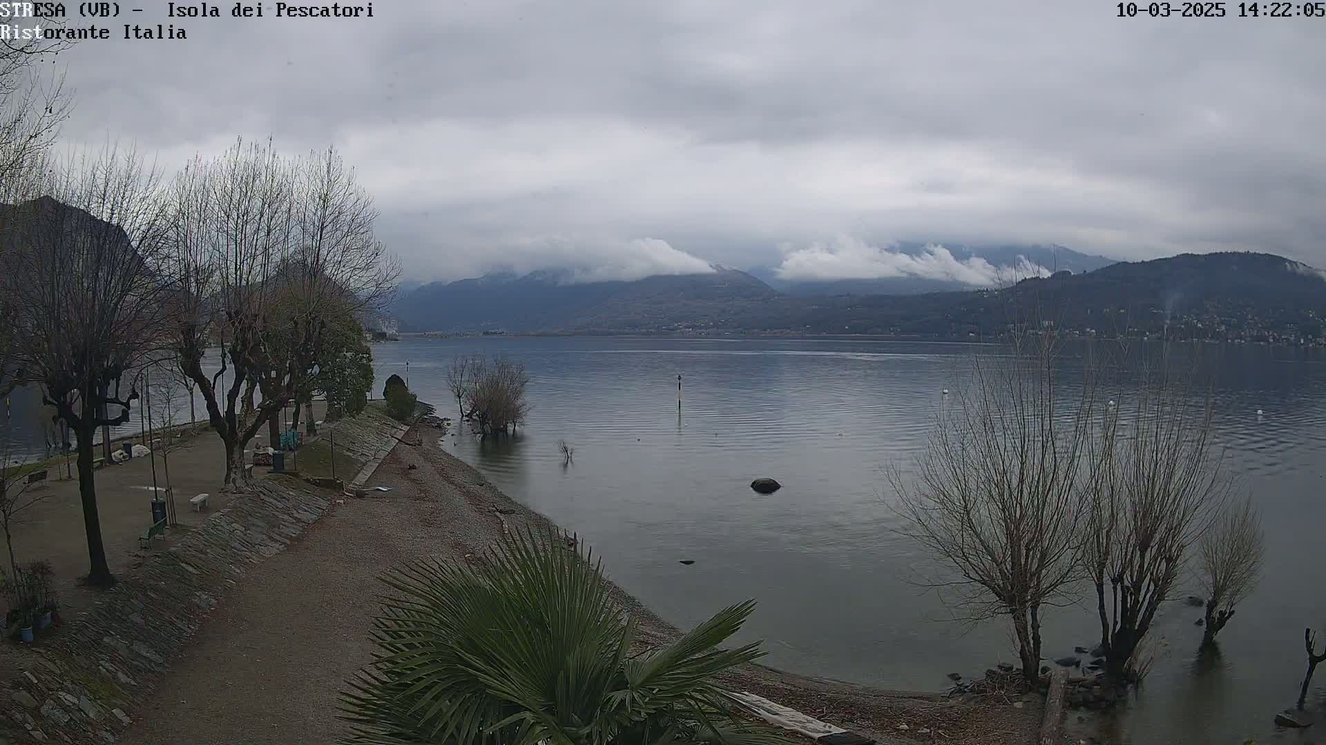 A calm lake under an overcast sky is viewed from a shoreline park with bare trees and a few palm trees in the foreground, mountains are visible in the distance.