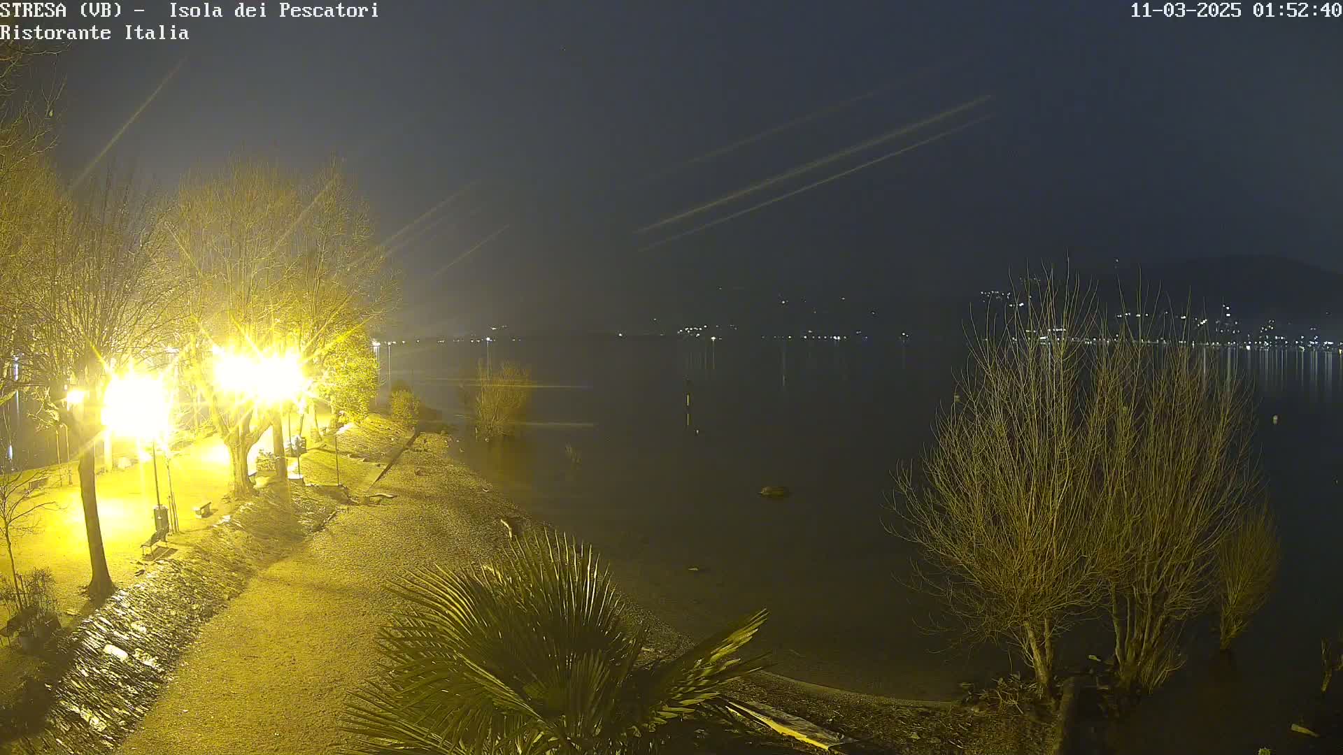 A nighttime view of a lake shore with bare trees illuminated by streetlights, under a dark sky with faint streaks possibly from airplanes.