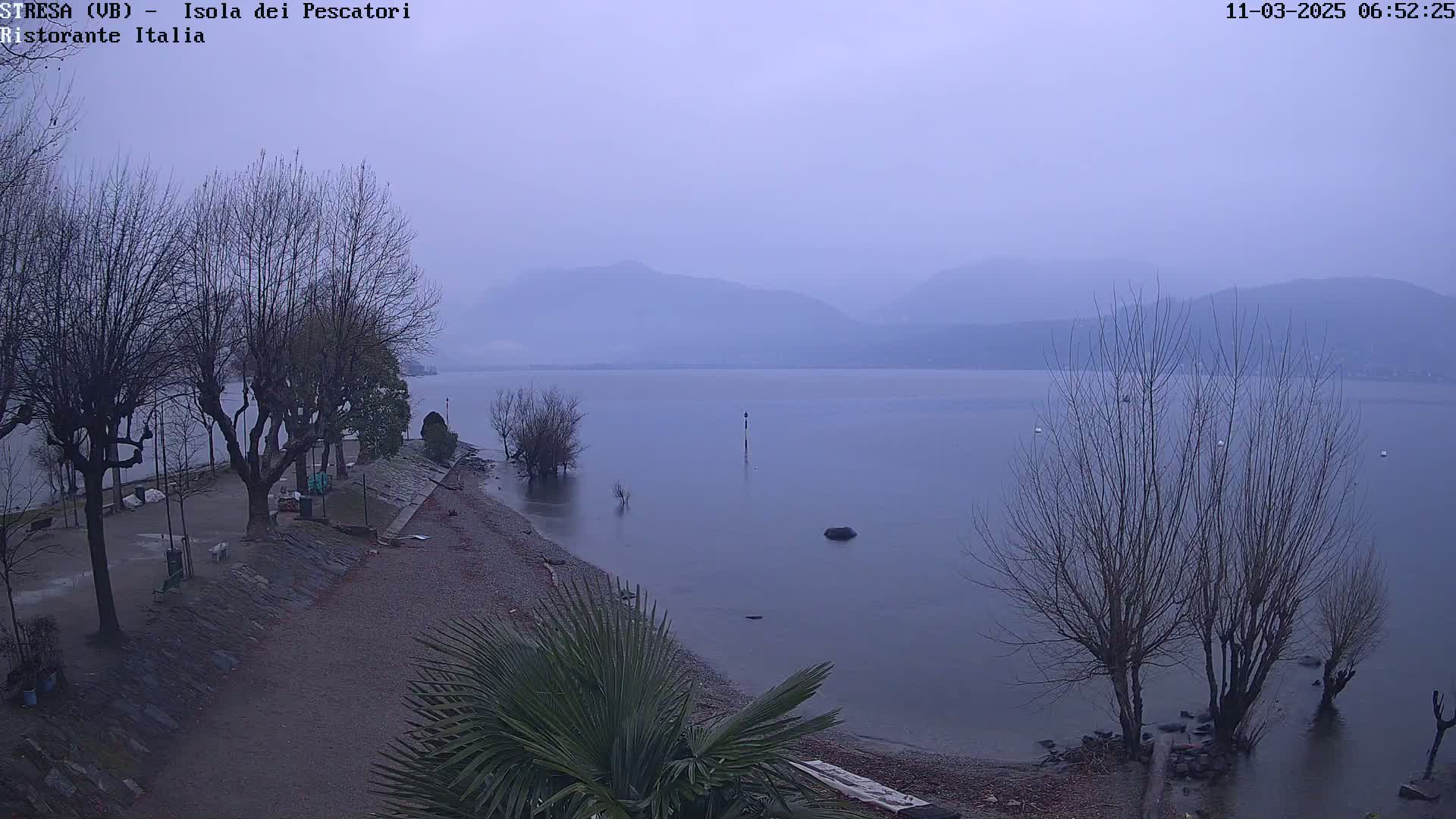 A calm lake under an overcast sky is seen from a shoreline with leafless trees and a few palm trees near the bottom of the frame.