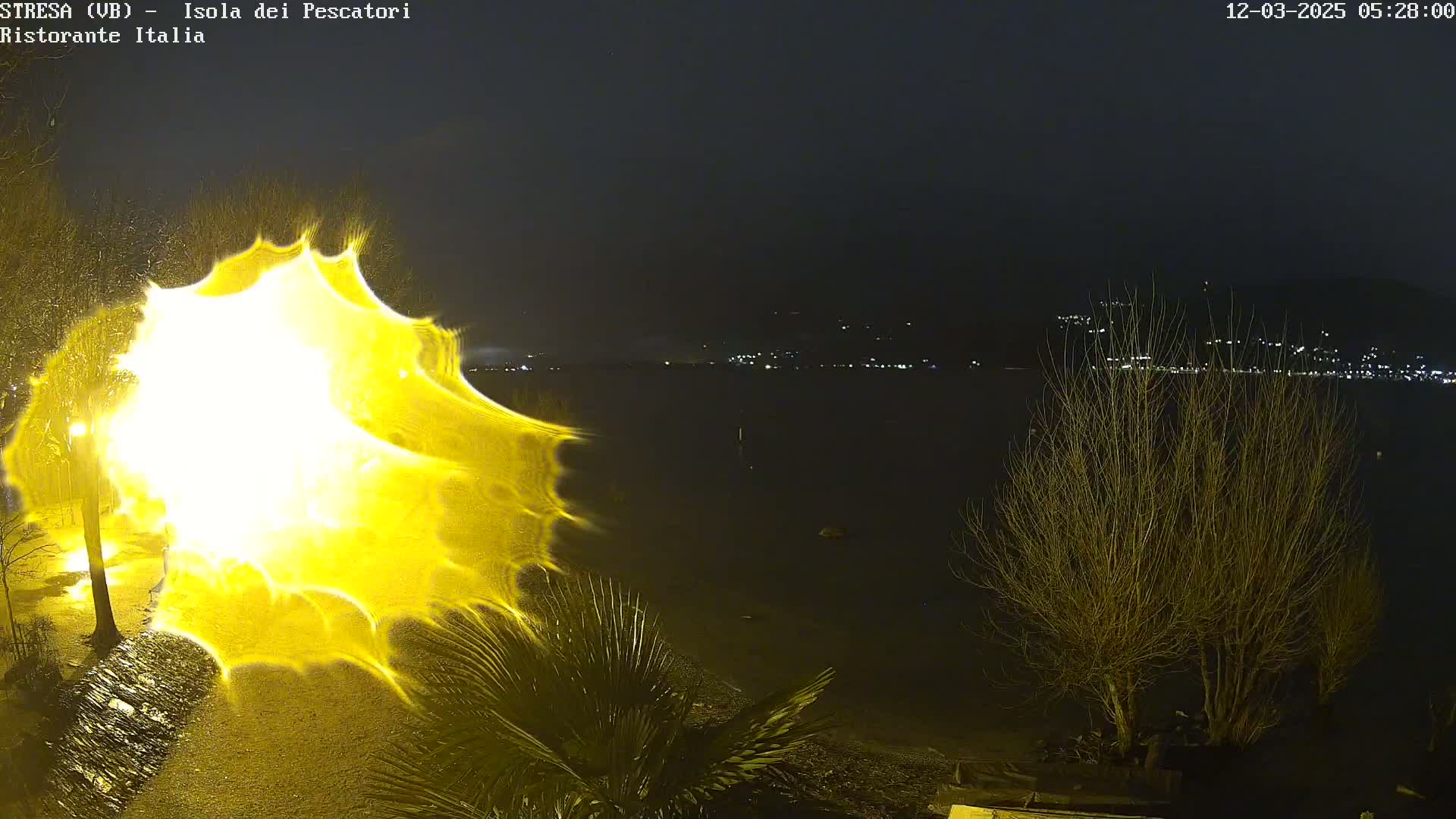 A bright, distorted yellow light illuminates a nighttime lakeshore scene with leafless trees and distant city lights across the water.