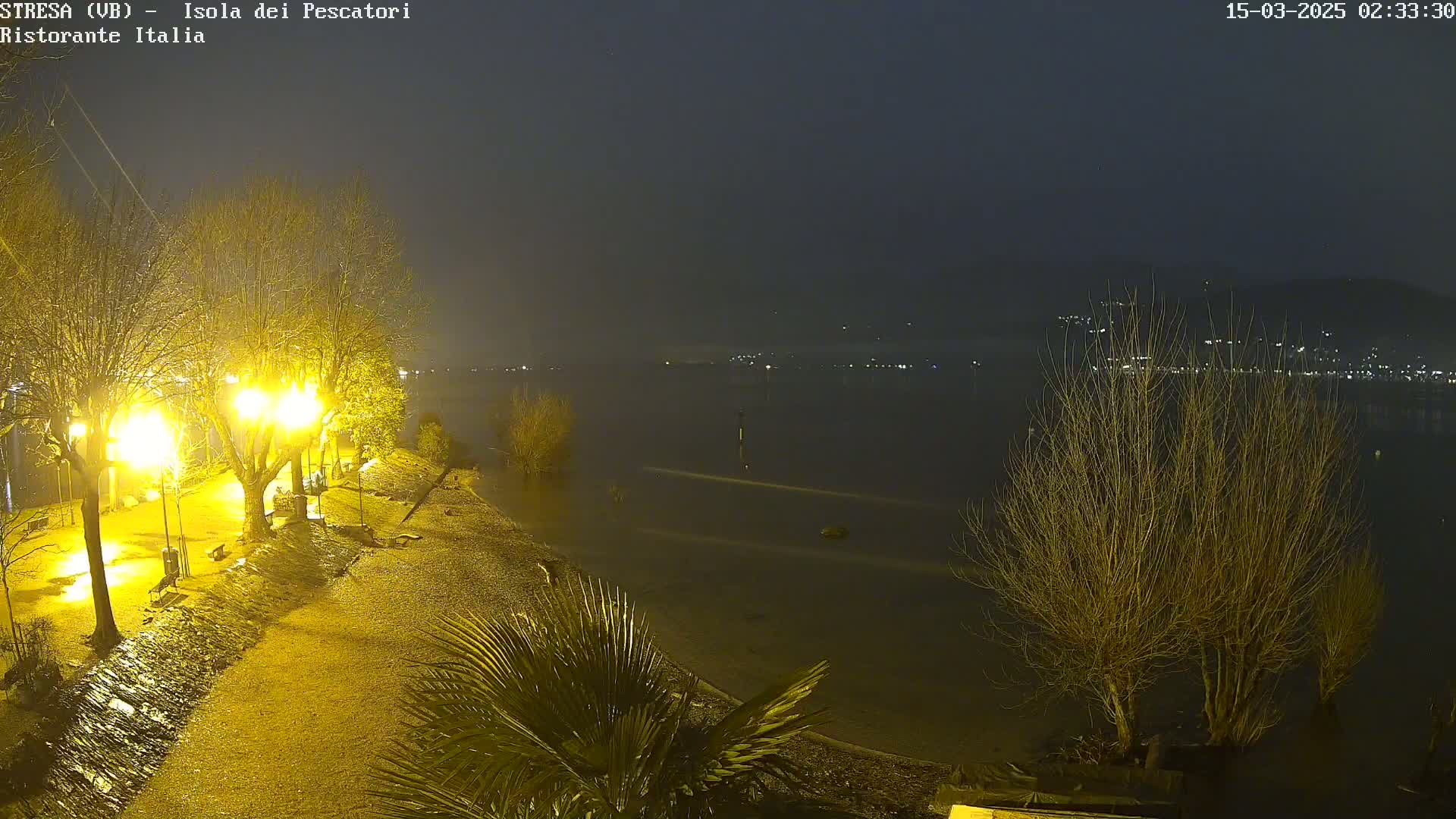 A nighttime view of a rain-soaked shoreline with illuminated trees and a calm lake, showing distant lights across the water.