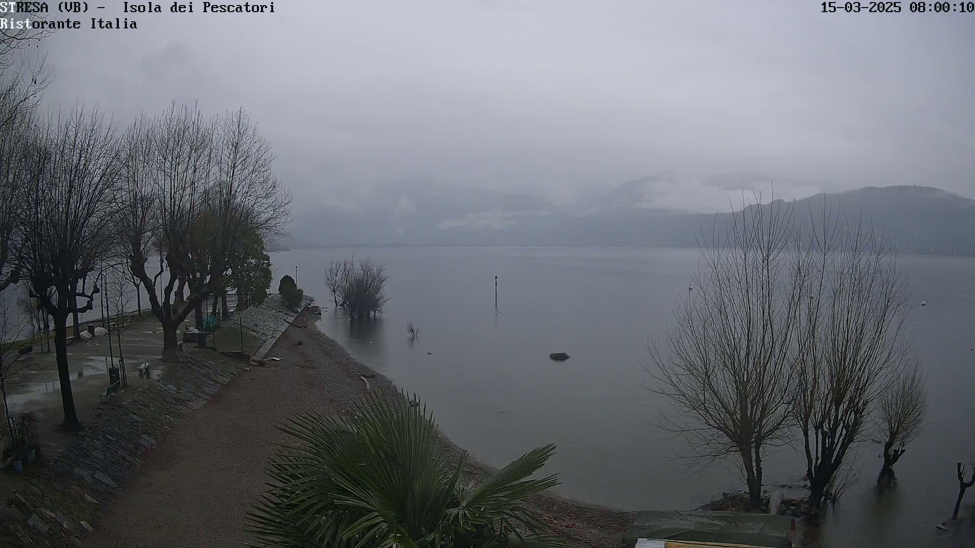 A gray, overcast day shows a lake shoreline with bare trees and slightly flooded low-lying areas, with distant mountains barely visible through the fog.