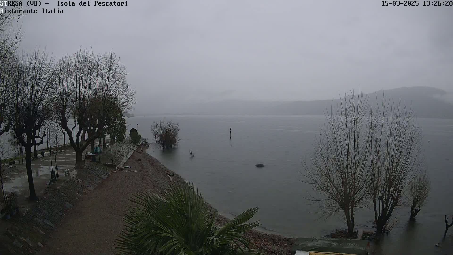 A rain-soaked lakeshore with leafless trees and a calm, gray lake under an overcast sky.