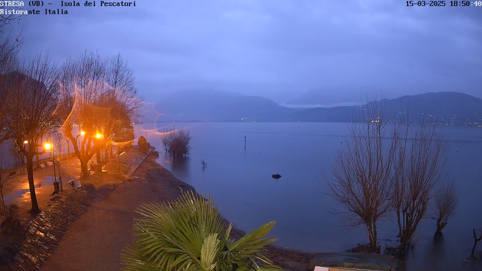 A calm lake at dusk under an overcast sky, with lights illuminating a wet, tree-lined shore.