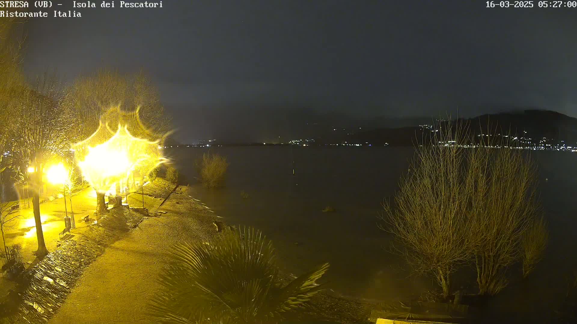 A nighttime scene of a lakefront area with lights illuminating bare trees and a shoreline, under a dark sky.