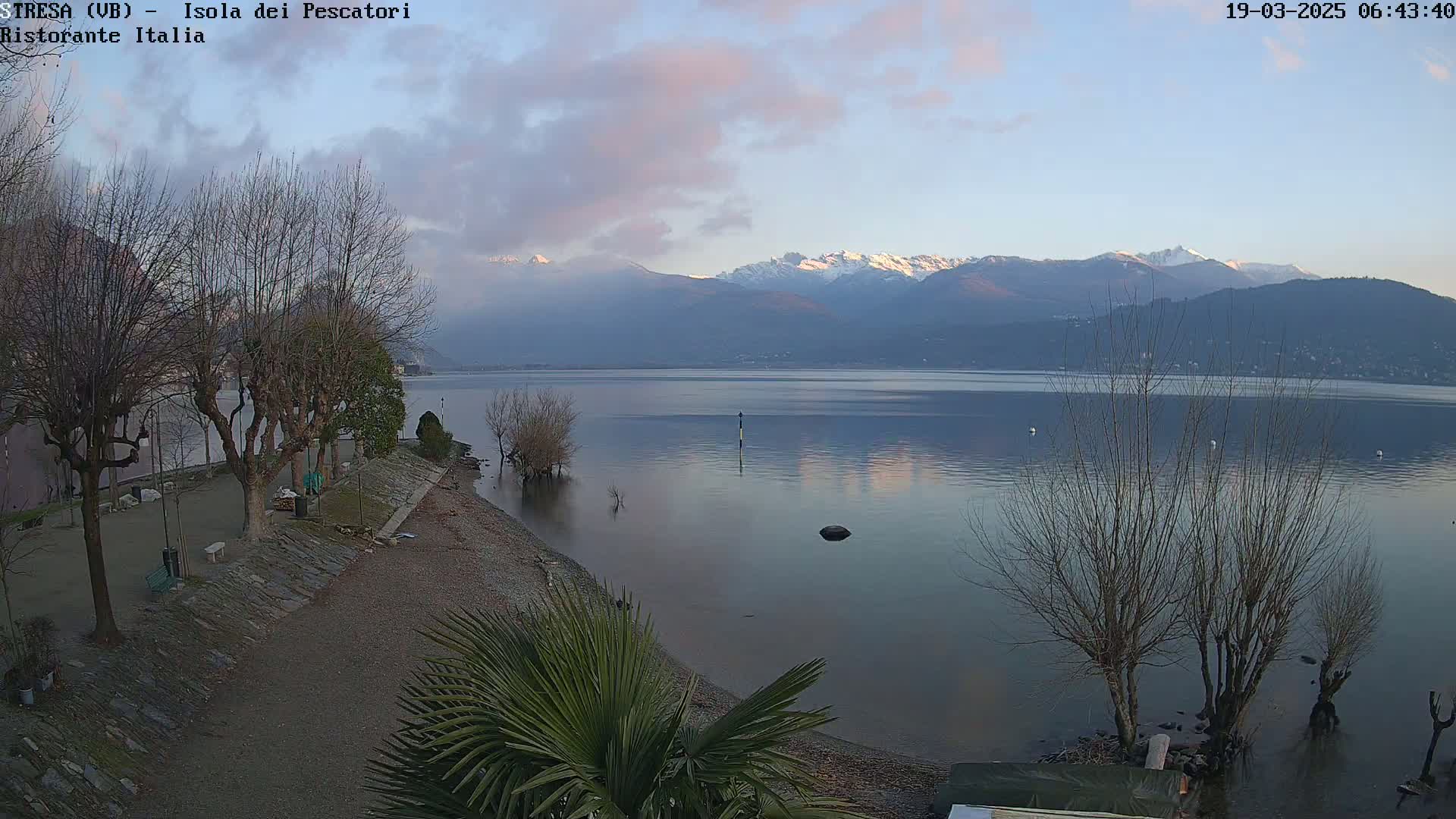 A calm lake with snow-capped mountains in the background under a partly cloudy, pale sky, viewed from a shoreline with bare trees and a palm tree in the foreground.