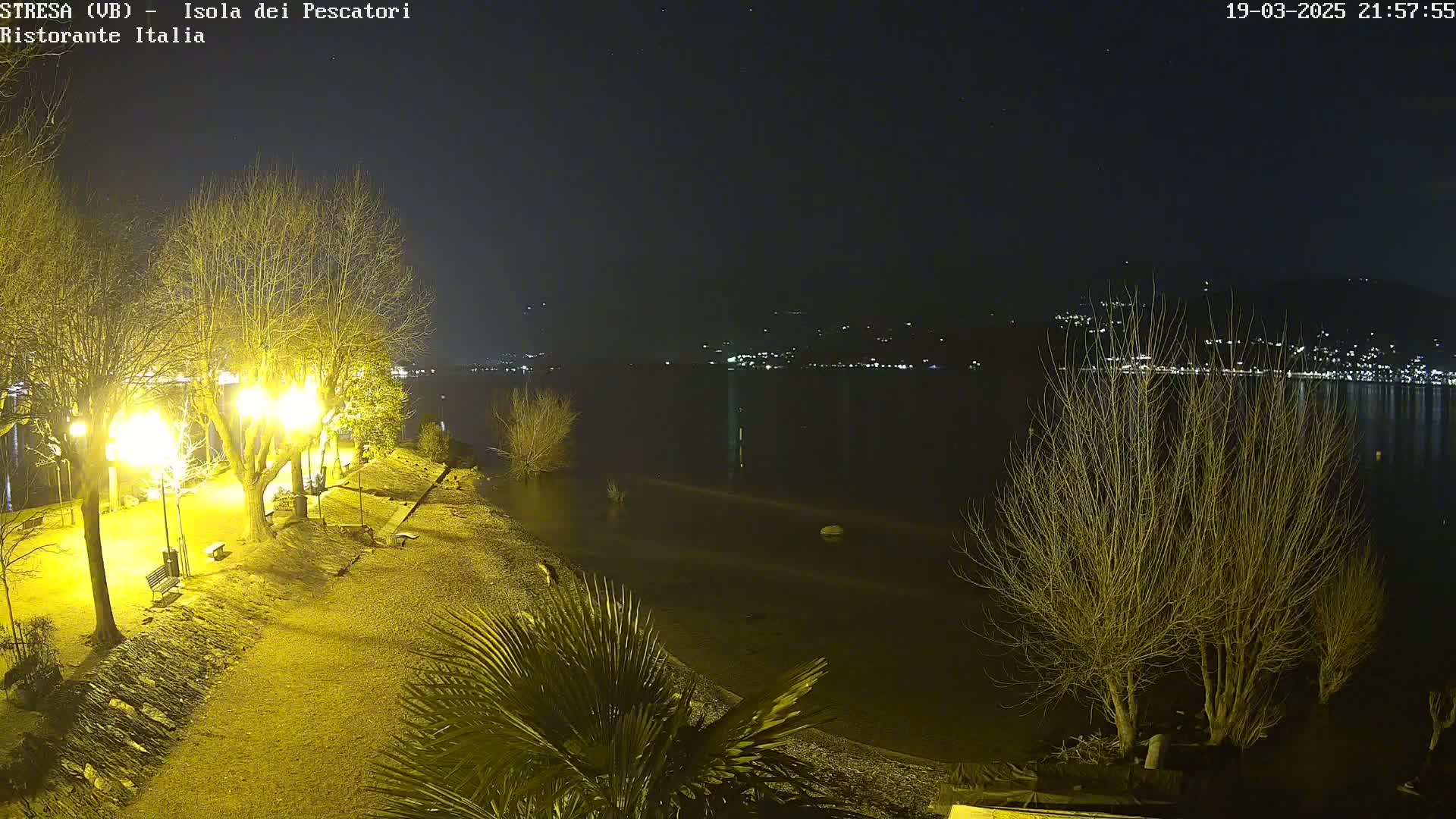 A nighttime view of a lakeshore park with bare trees illuminated by lampposts, overlooking a calm lake with distant city lights under a clear, starry sky.