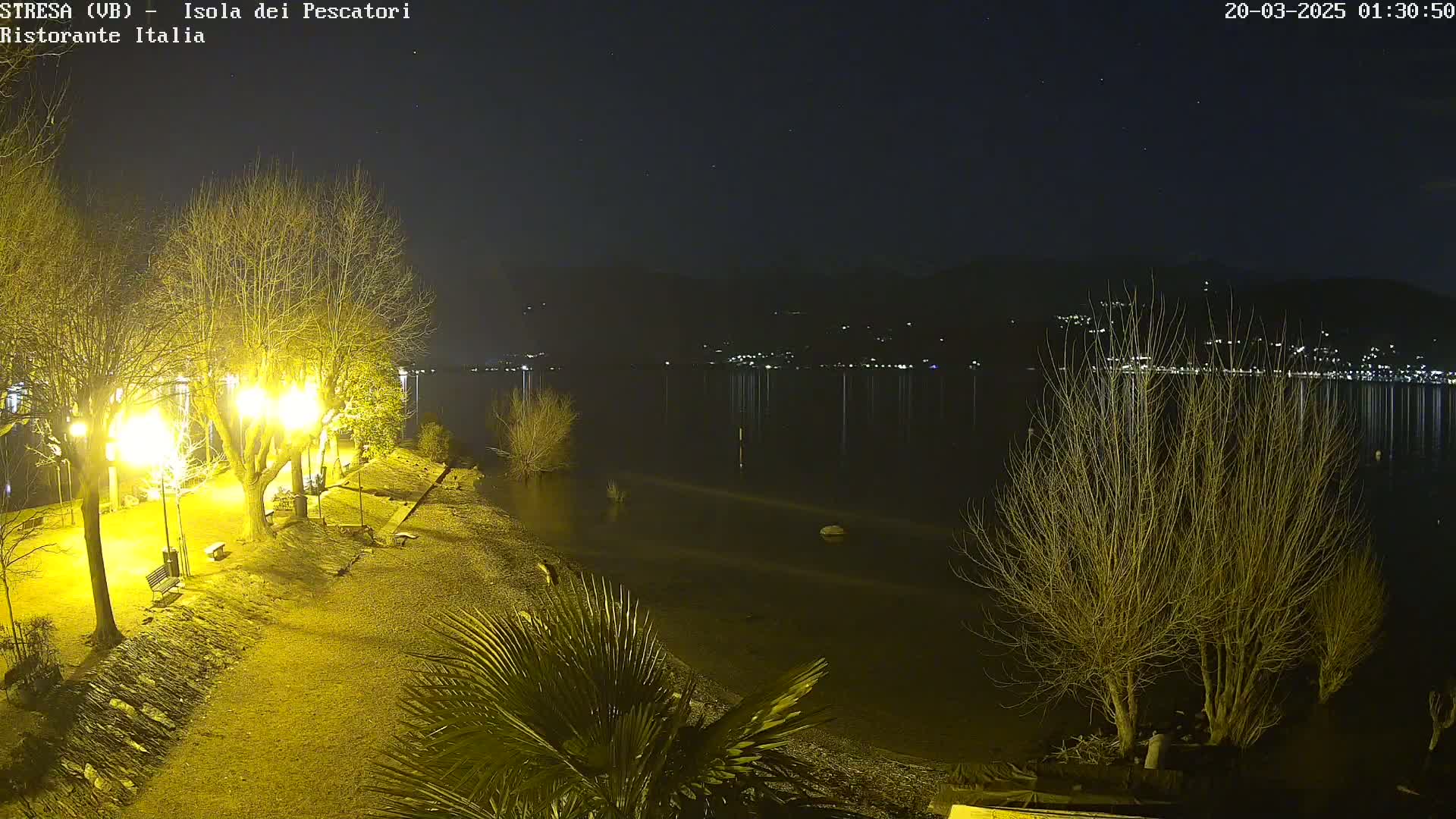 A nighttime view of a lakeshore, illuminated by several streetlights, shows bare trees and a calm body of water reflecting distant lights across the far shore under a clear, starry sky.