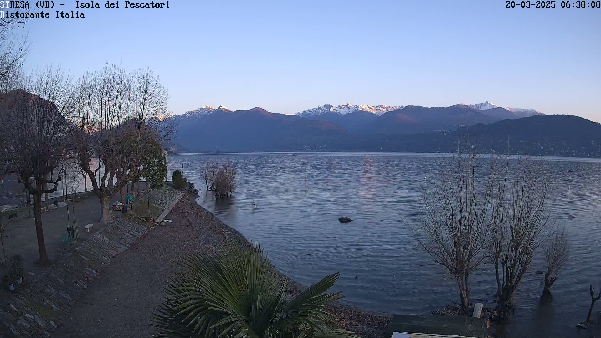 A calm lake with snow-capped mountains in the background is seen from a shoreline with bare trees and a few palm trees.