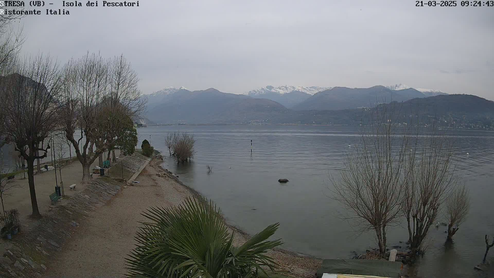 A calm lake with snow-capped mountains in the background on an overcast day, viewed from a shoreline with bare trees and a palm tree in the foreground.